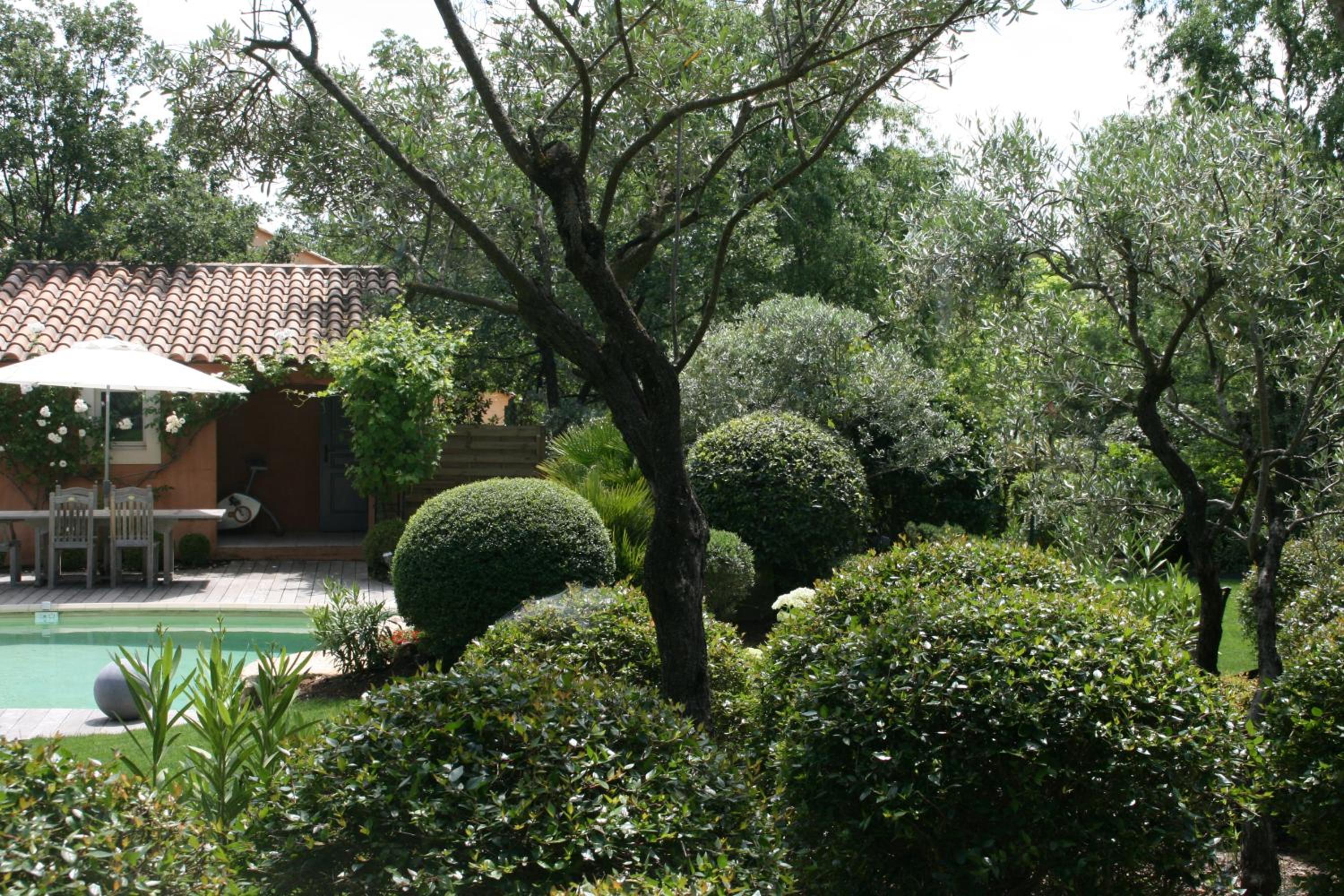 Photo 7