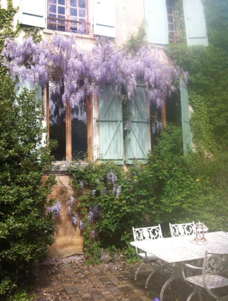 Photo 13