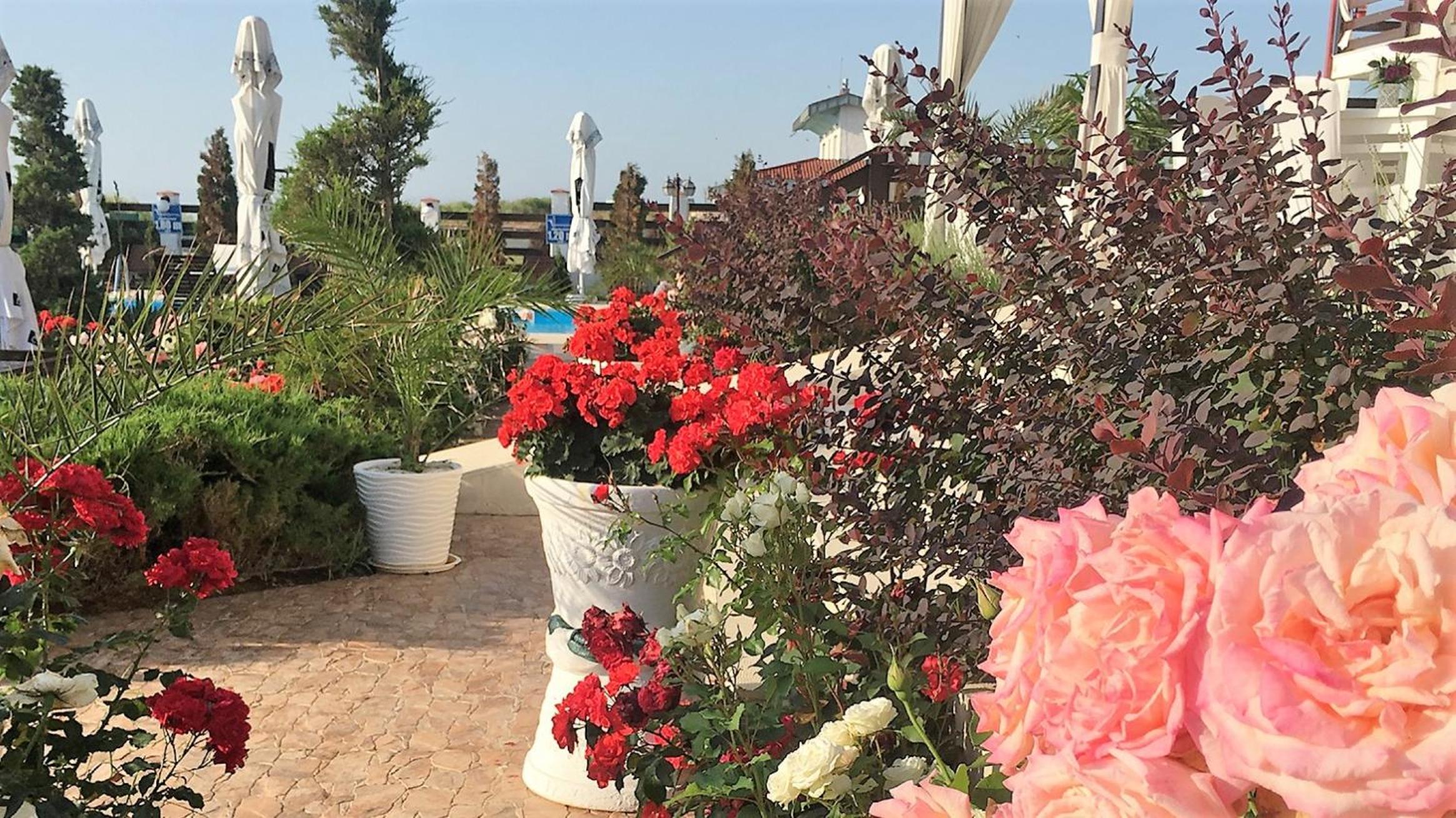 Photo 28