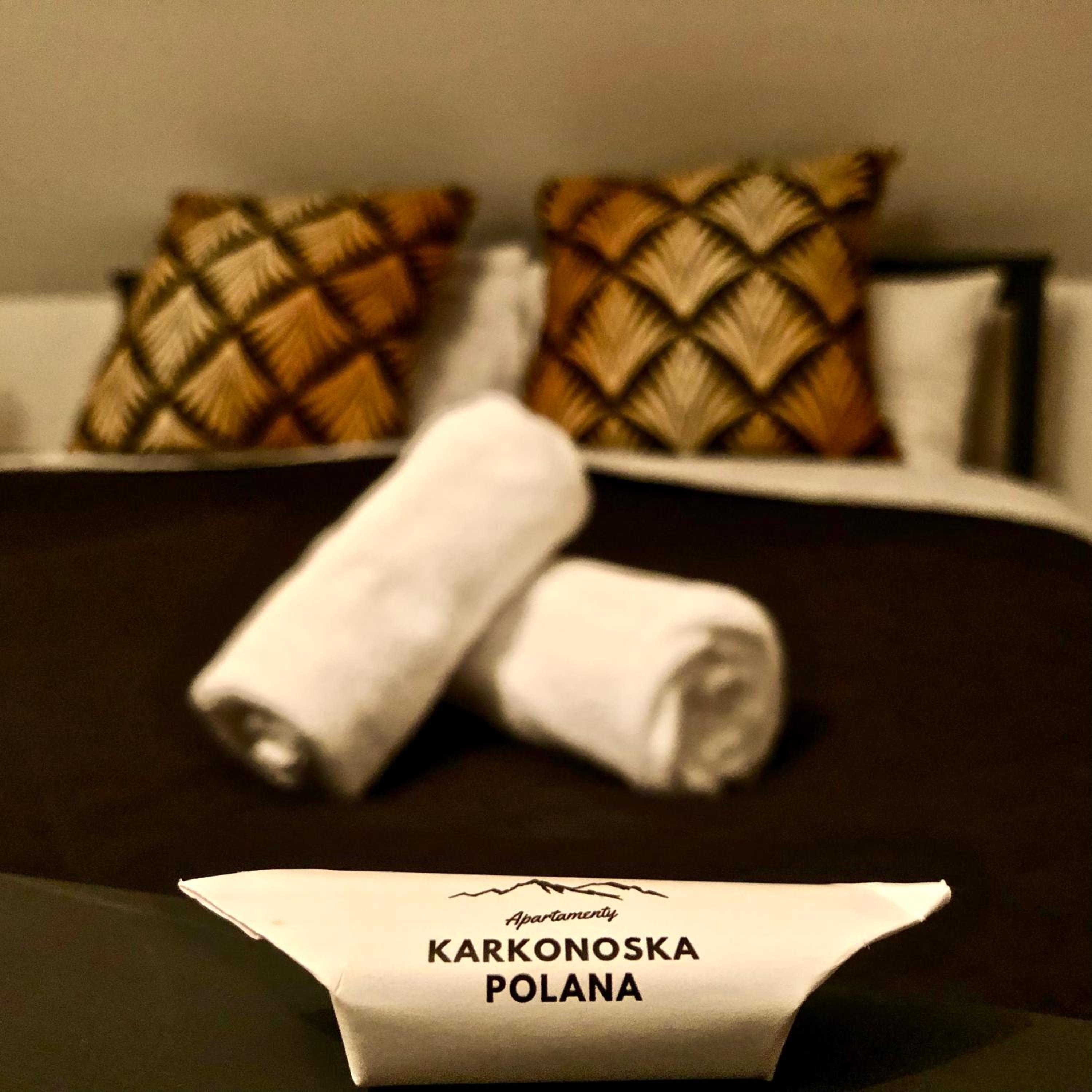 Apartamenty Karkonoska Polana