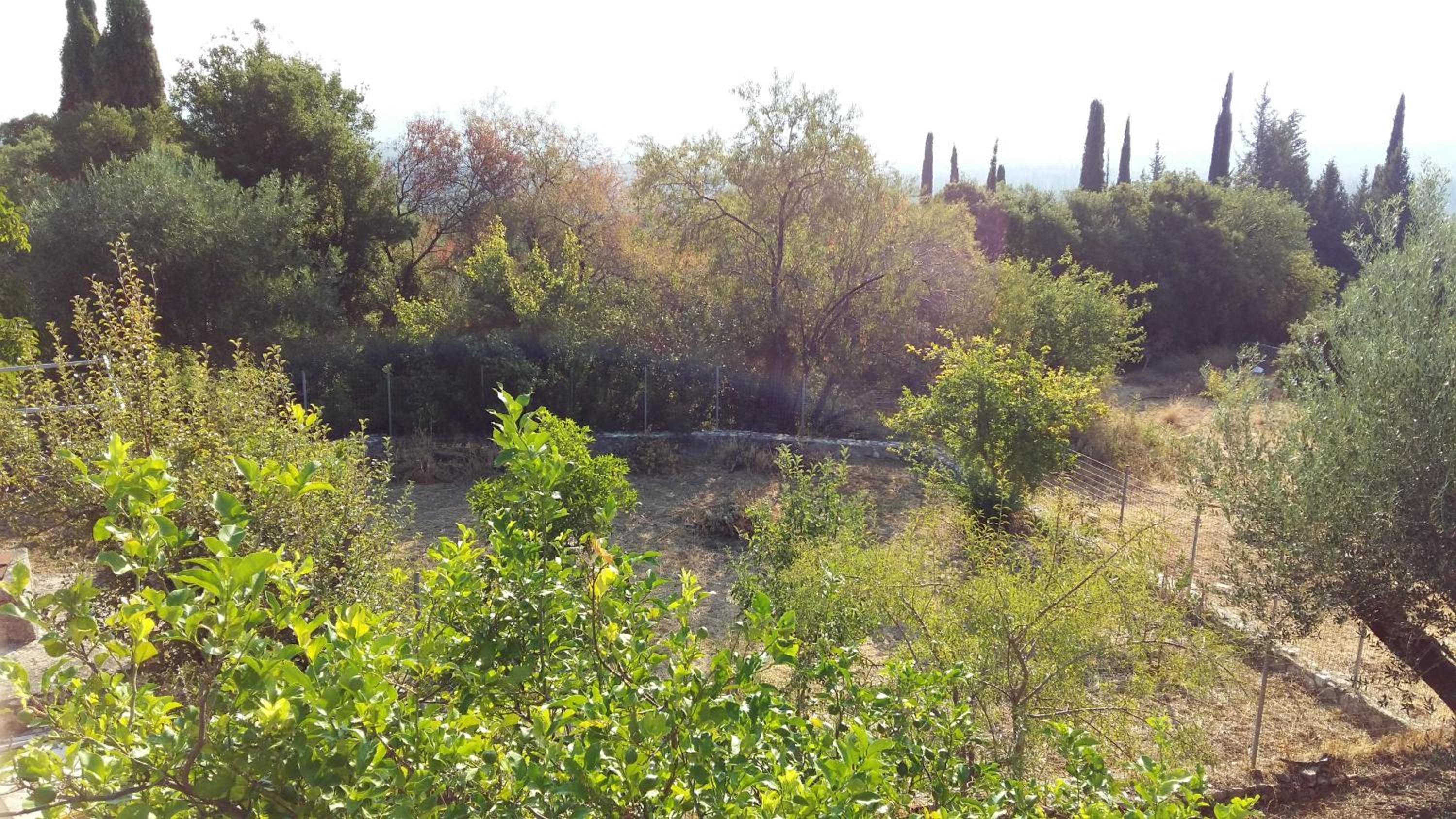 The Stone House-Zacharatos Nikolaos view 4