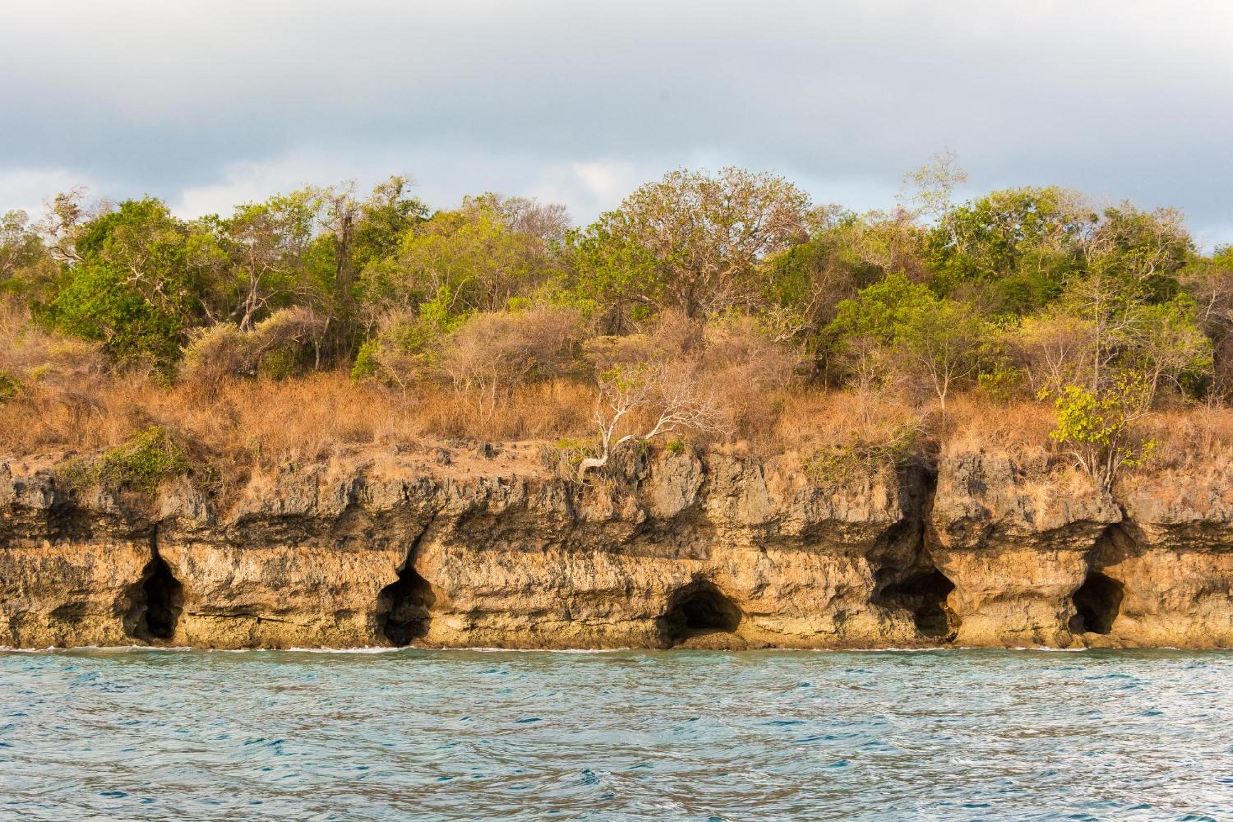 Maryan Moyo Bungalows & Resto
