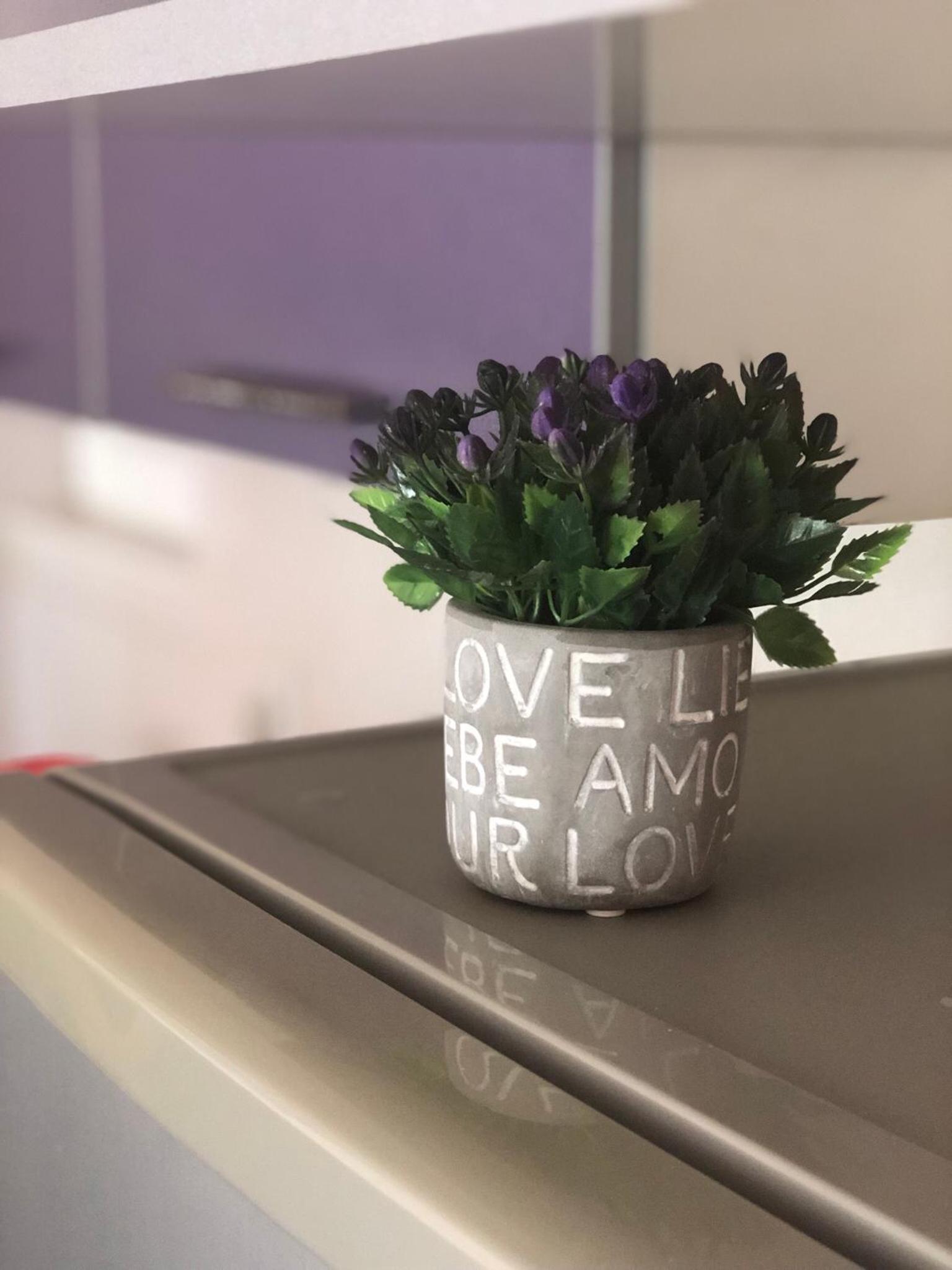 Apartman Ivana
