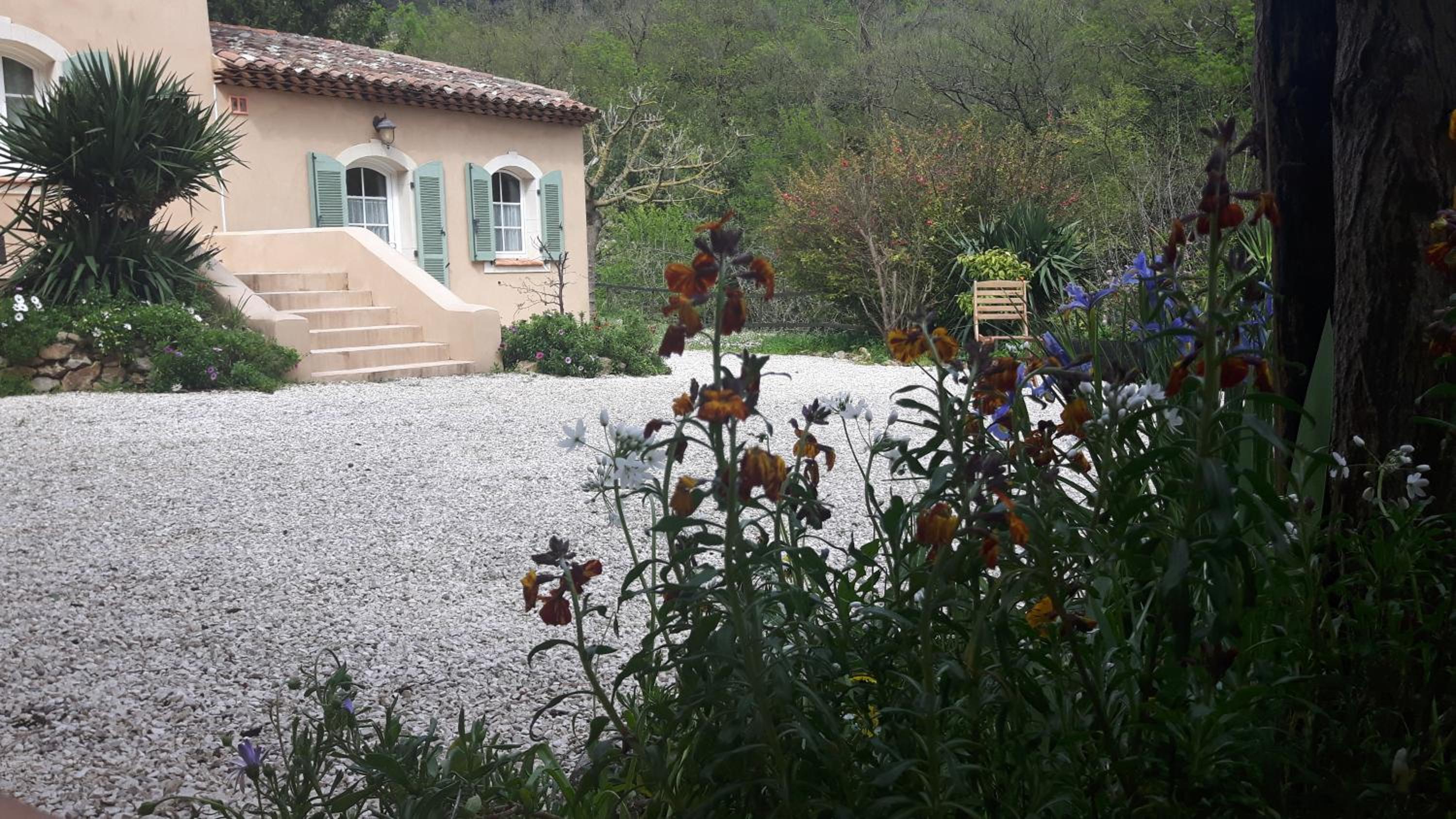 Photo 6