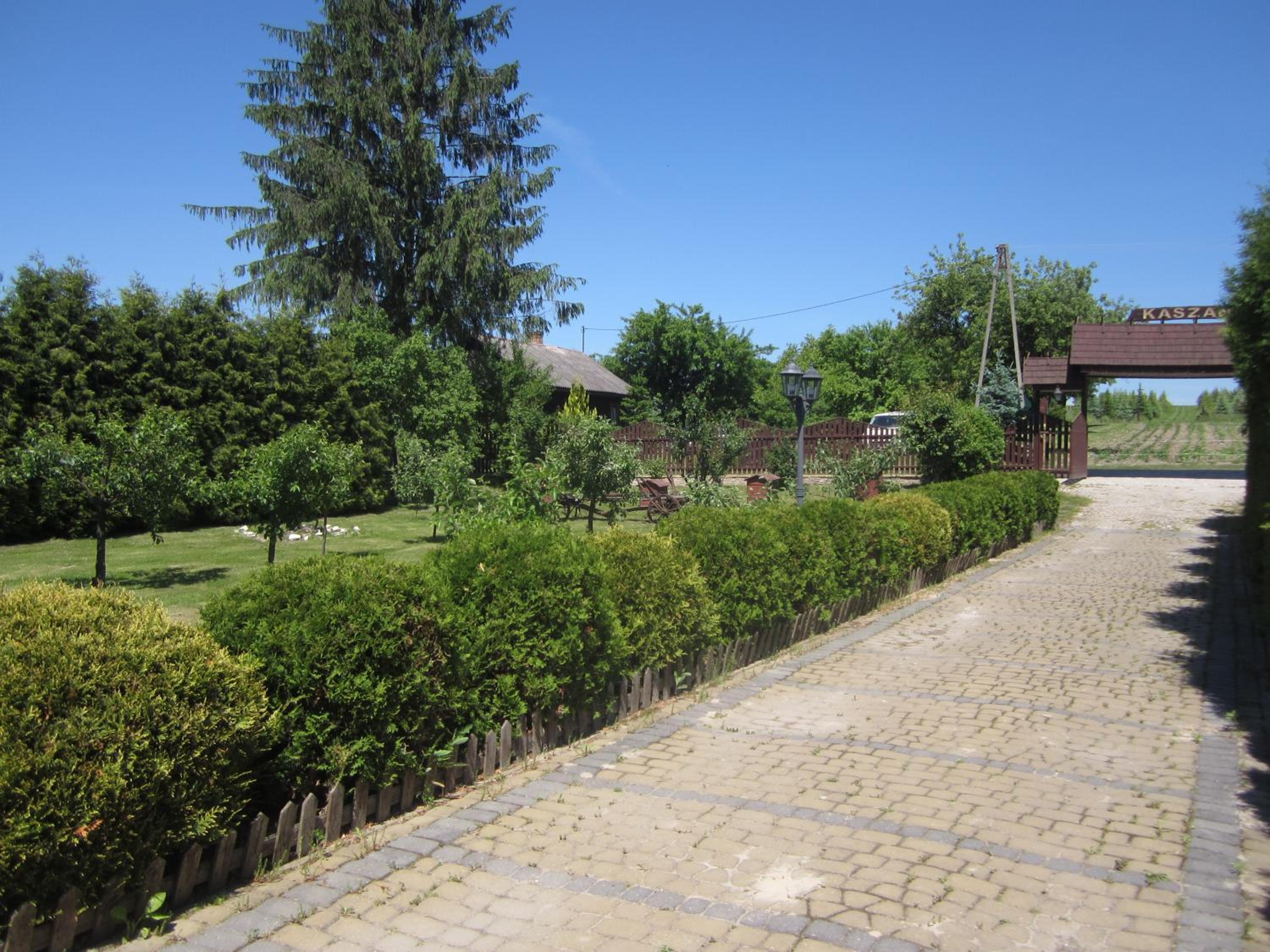 Photo 20