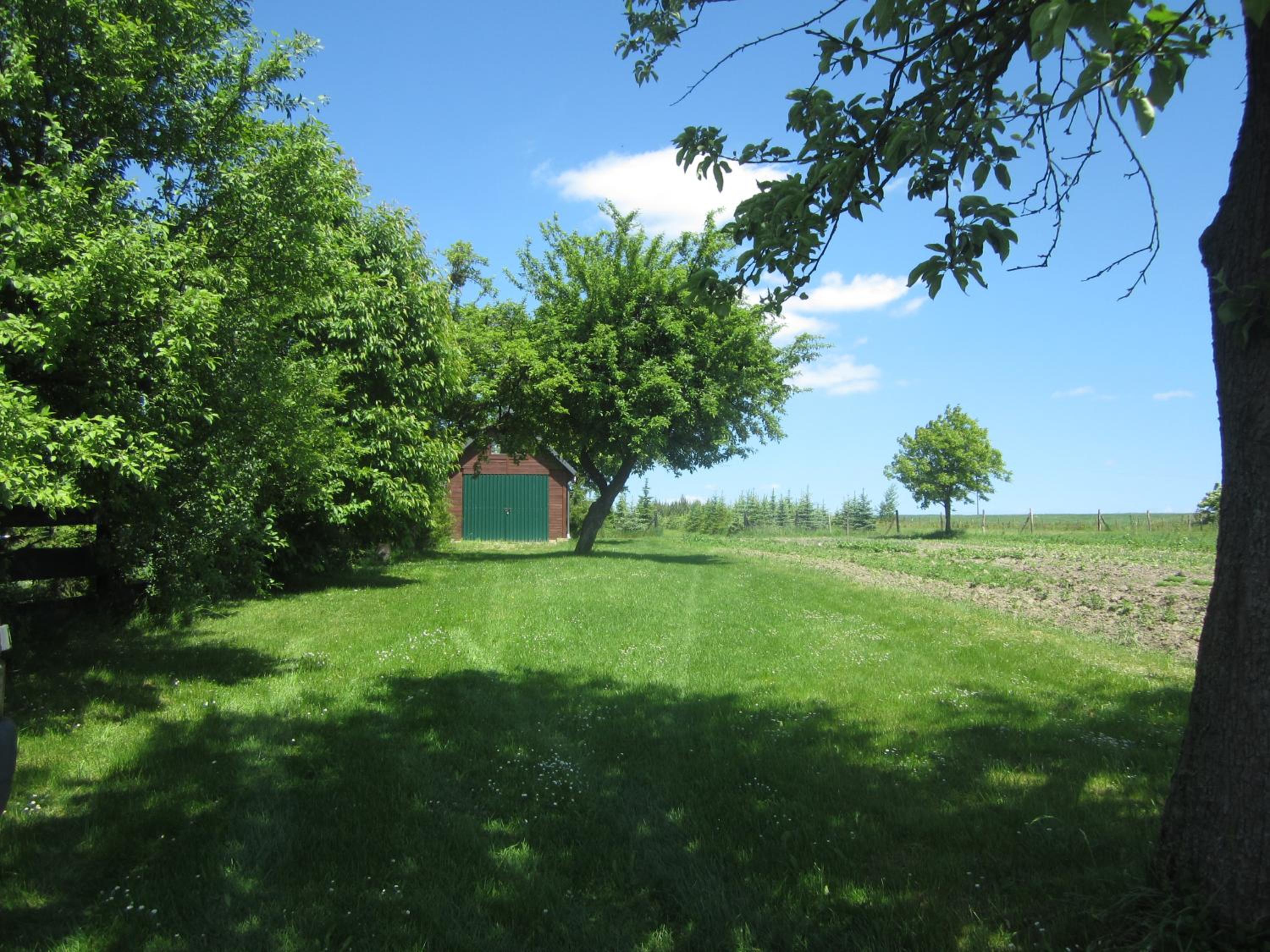 Photo 29