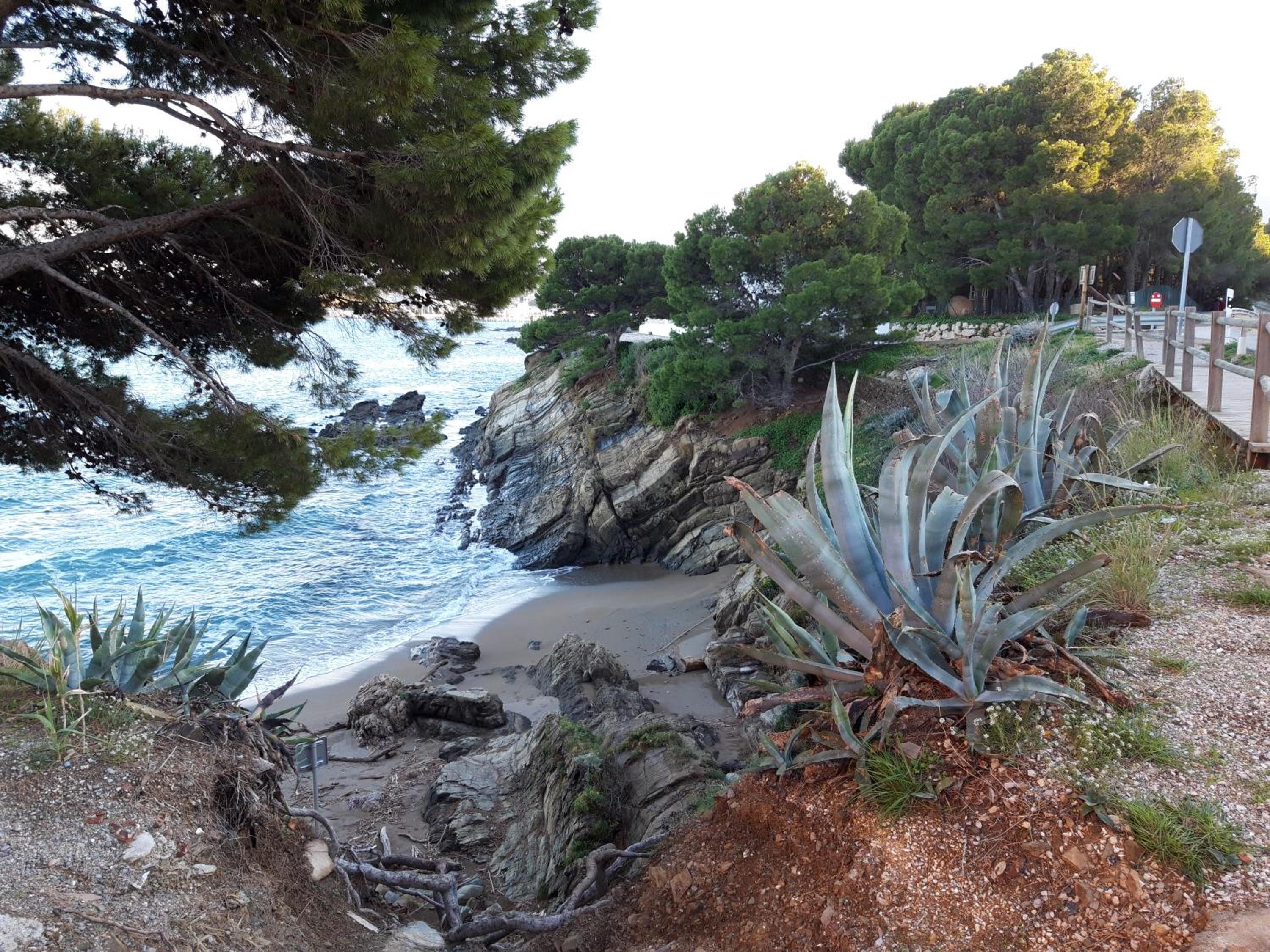 Apt Mar i Cel photo 3
