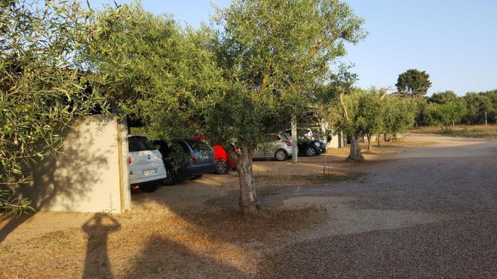 Agriturismo Sa Ruda