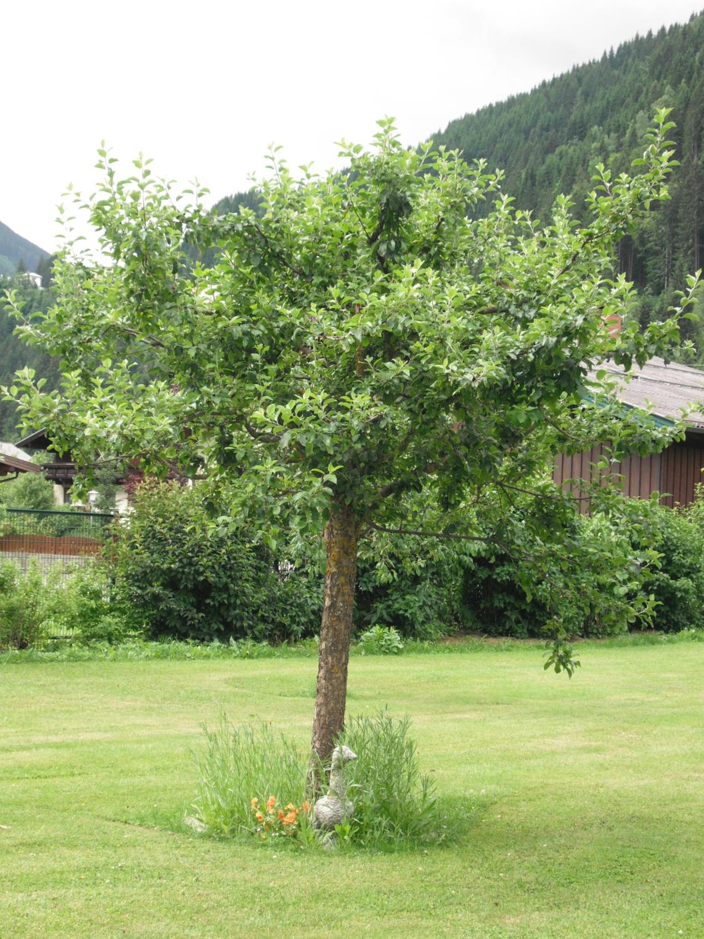 Haus Christophorus