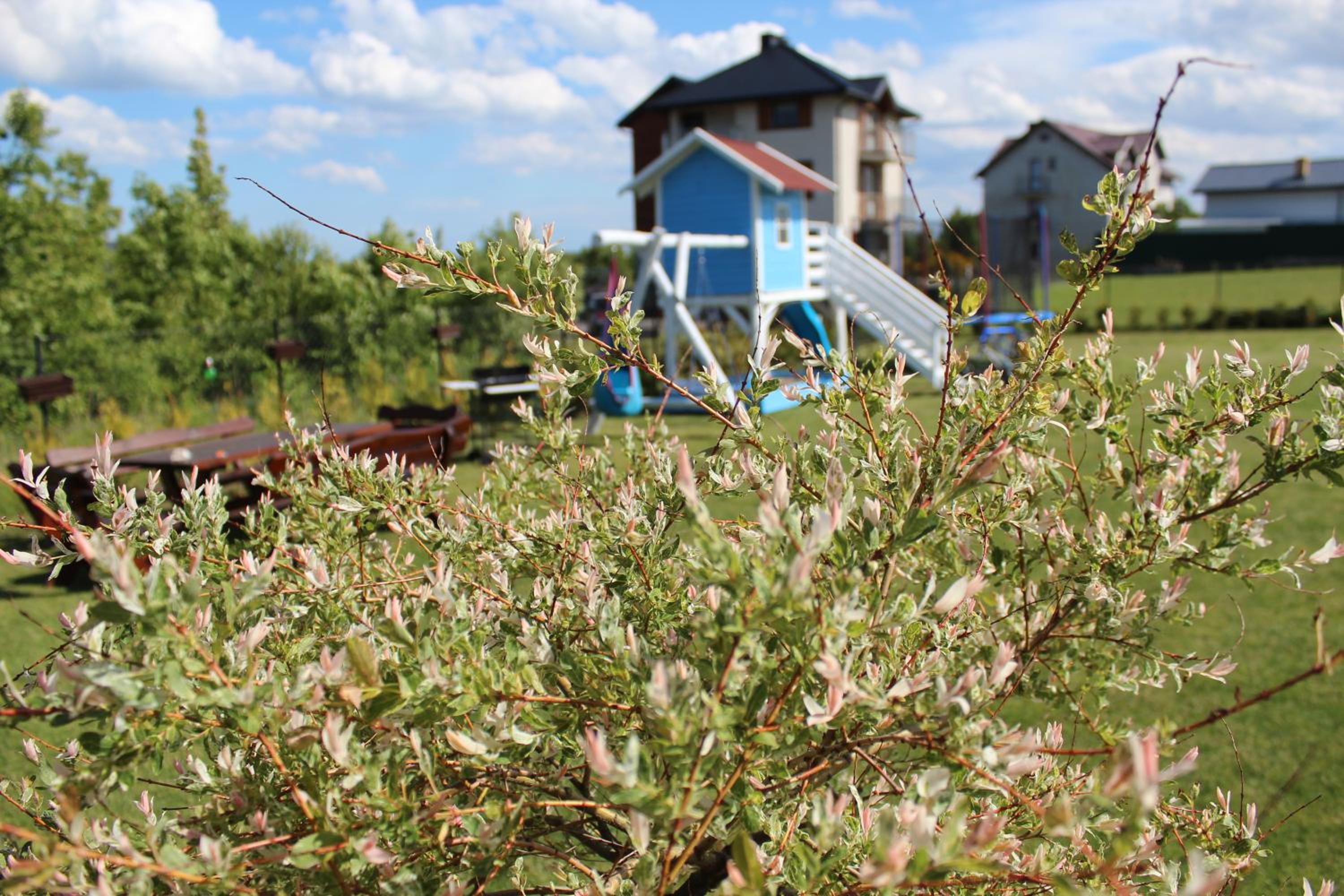 Photo 47