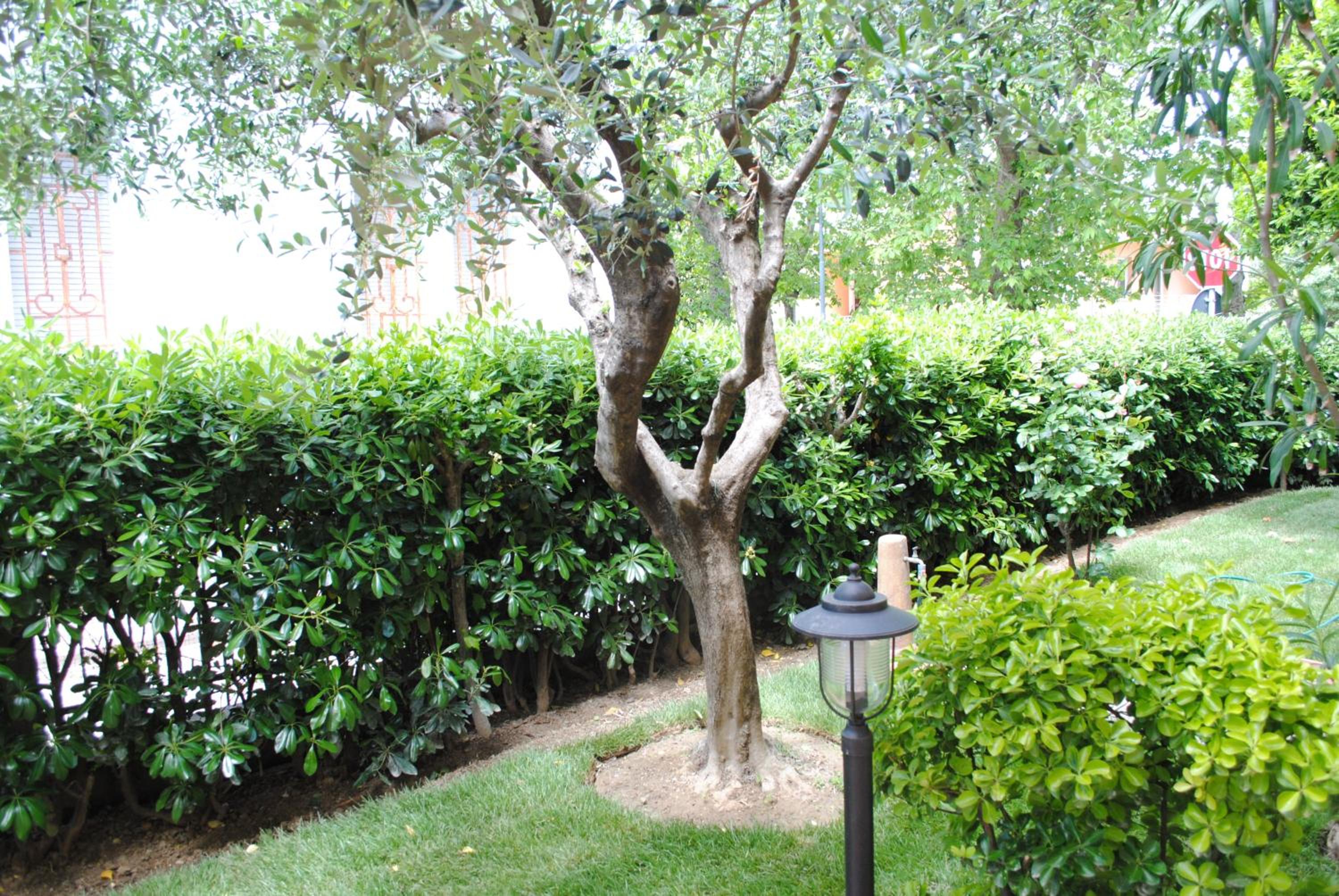 B&B La Gatta Blu