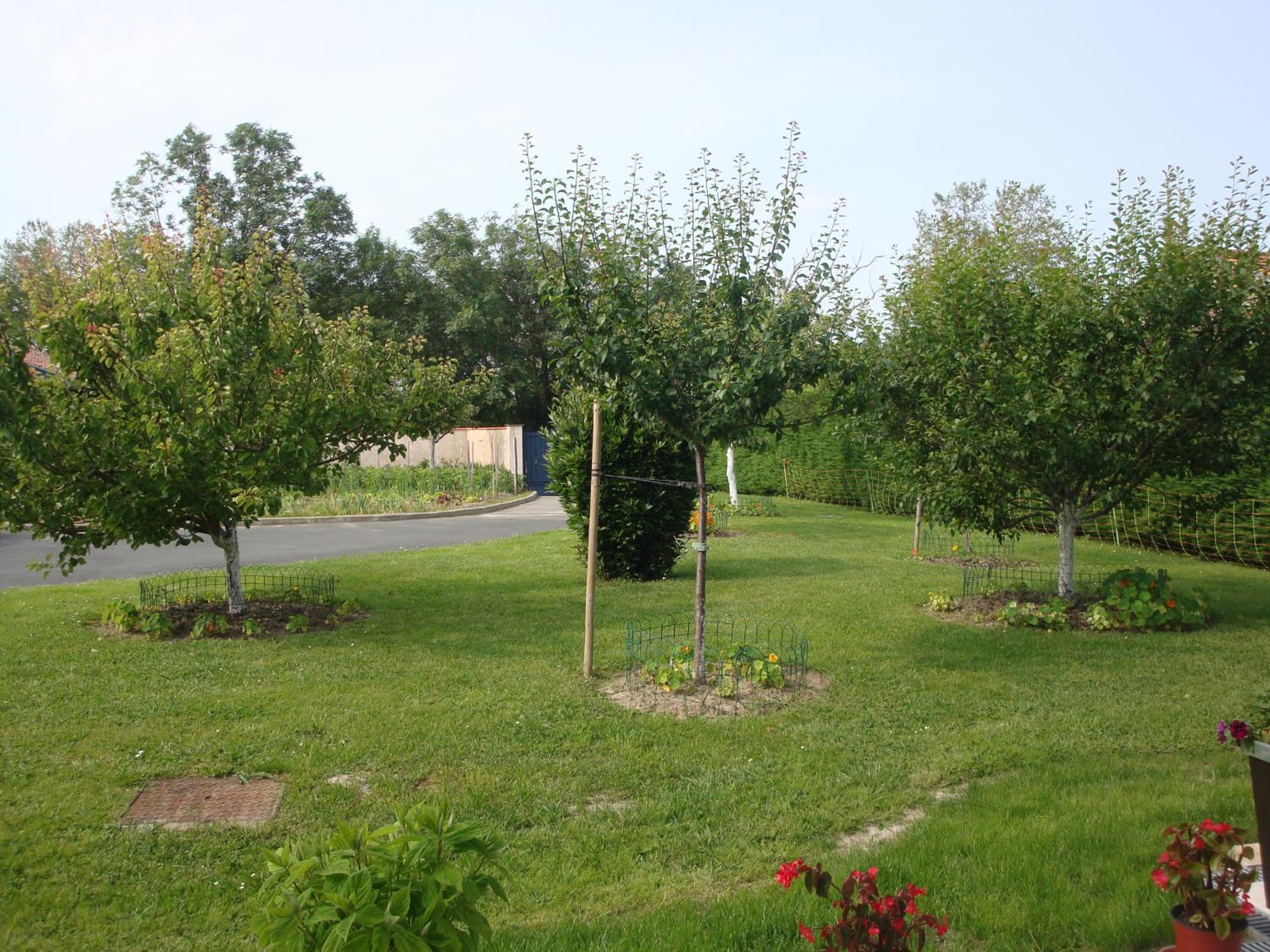 Photo 30
