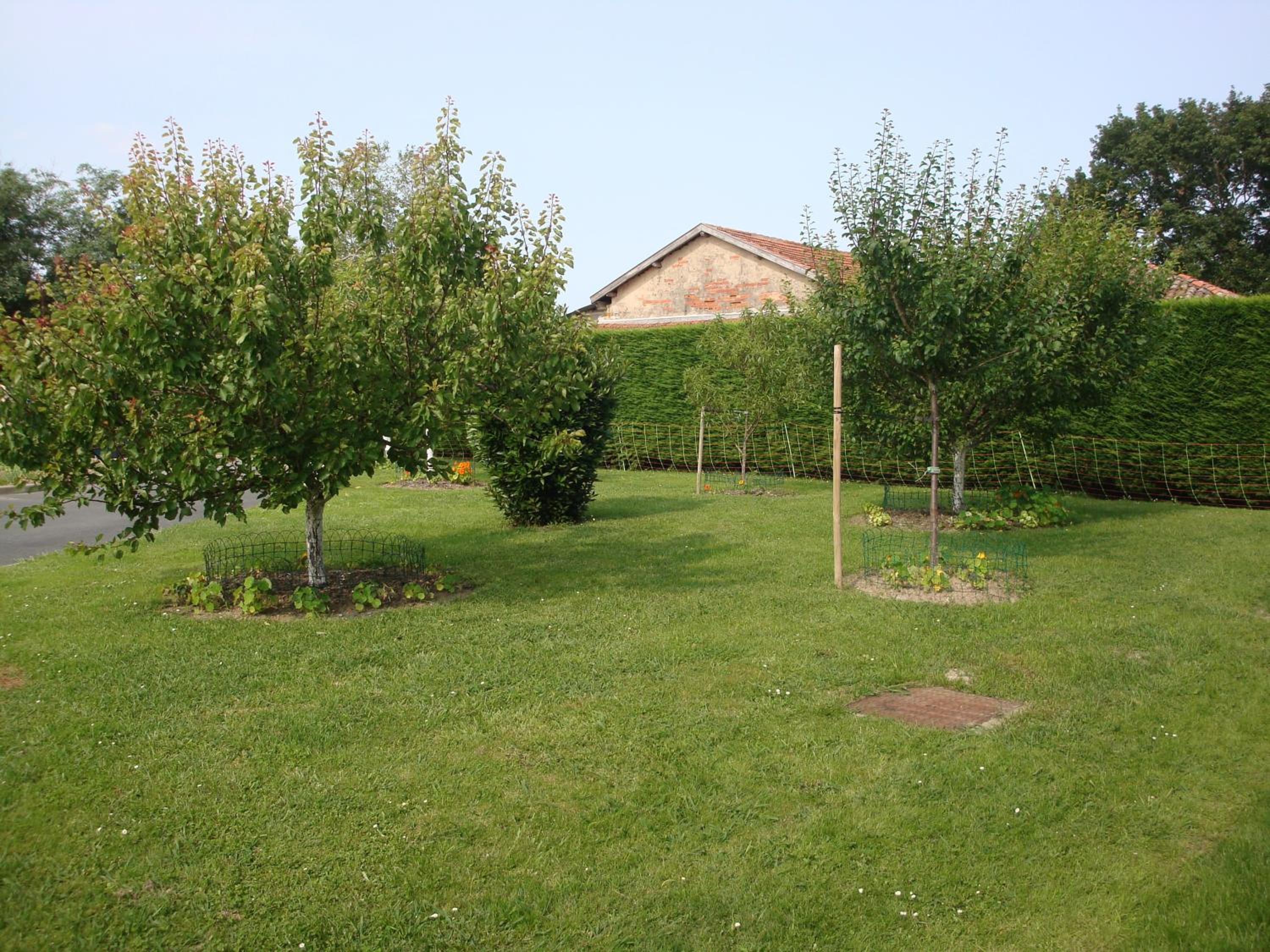 Photo 31