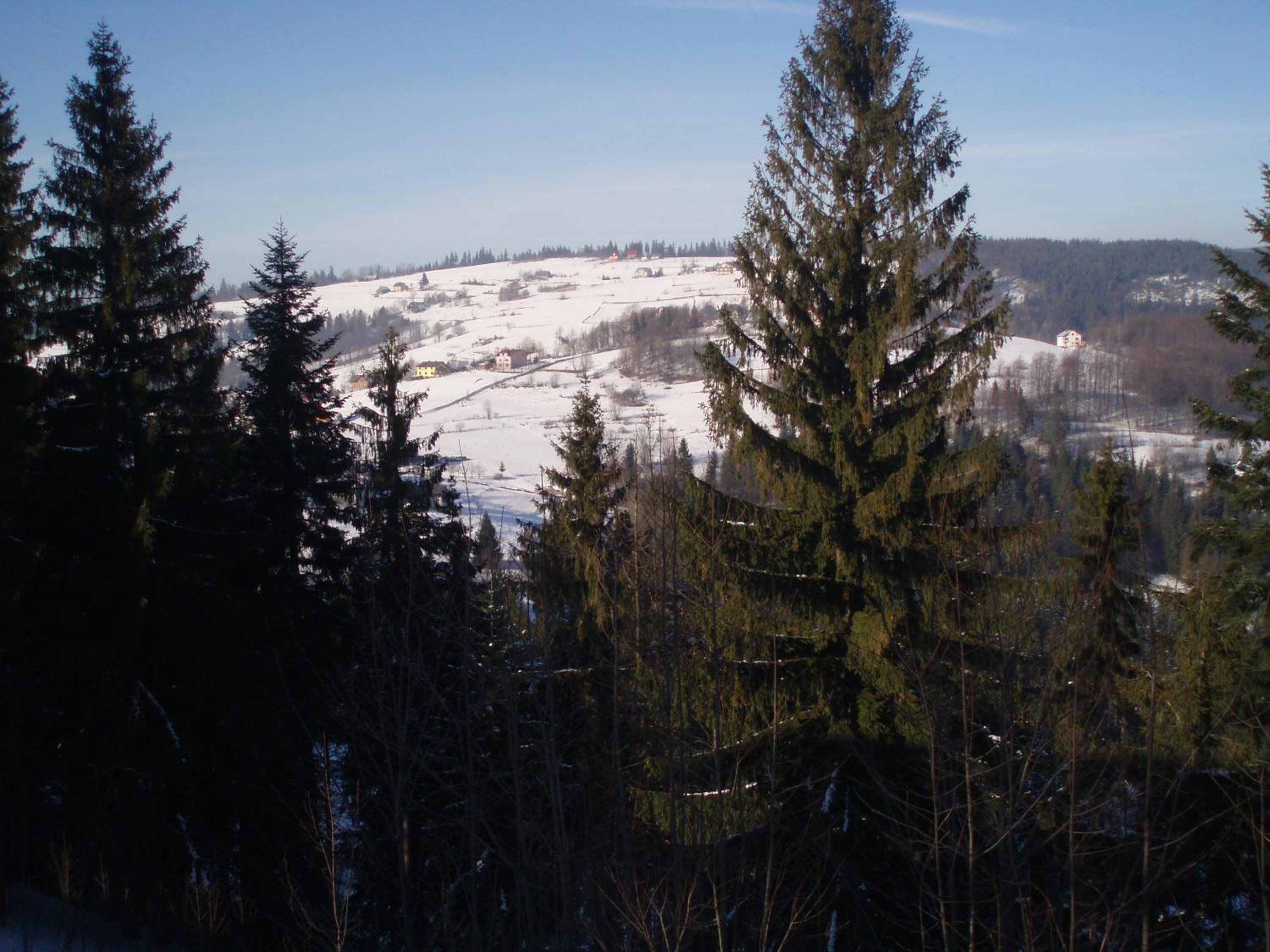 Pokoje Agroturystyka Koczy Zamek view 2