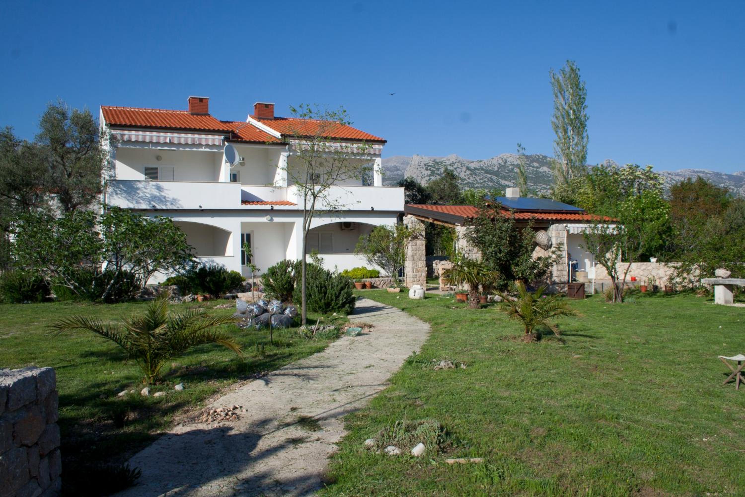 Photo 8