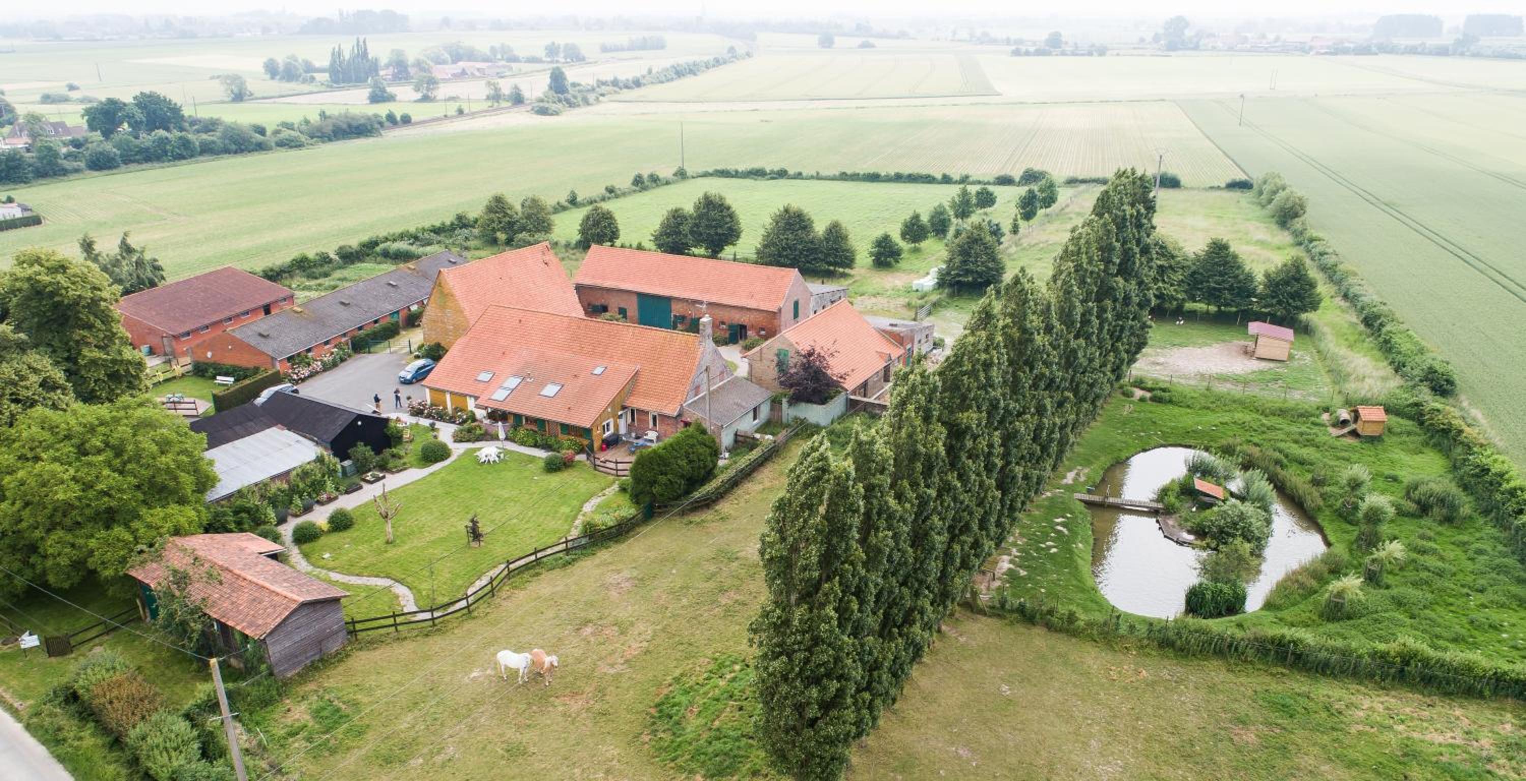 Gîte de La Ferme des Crins Blancs view 2