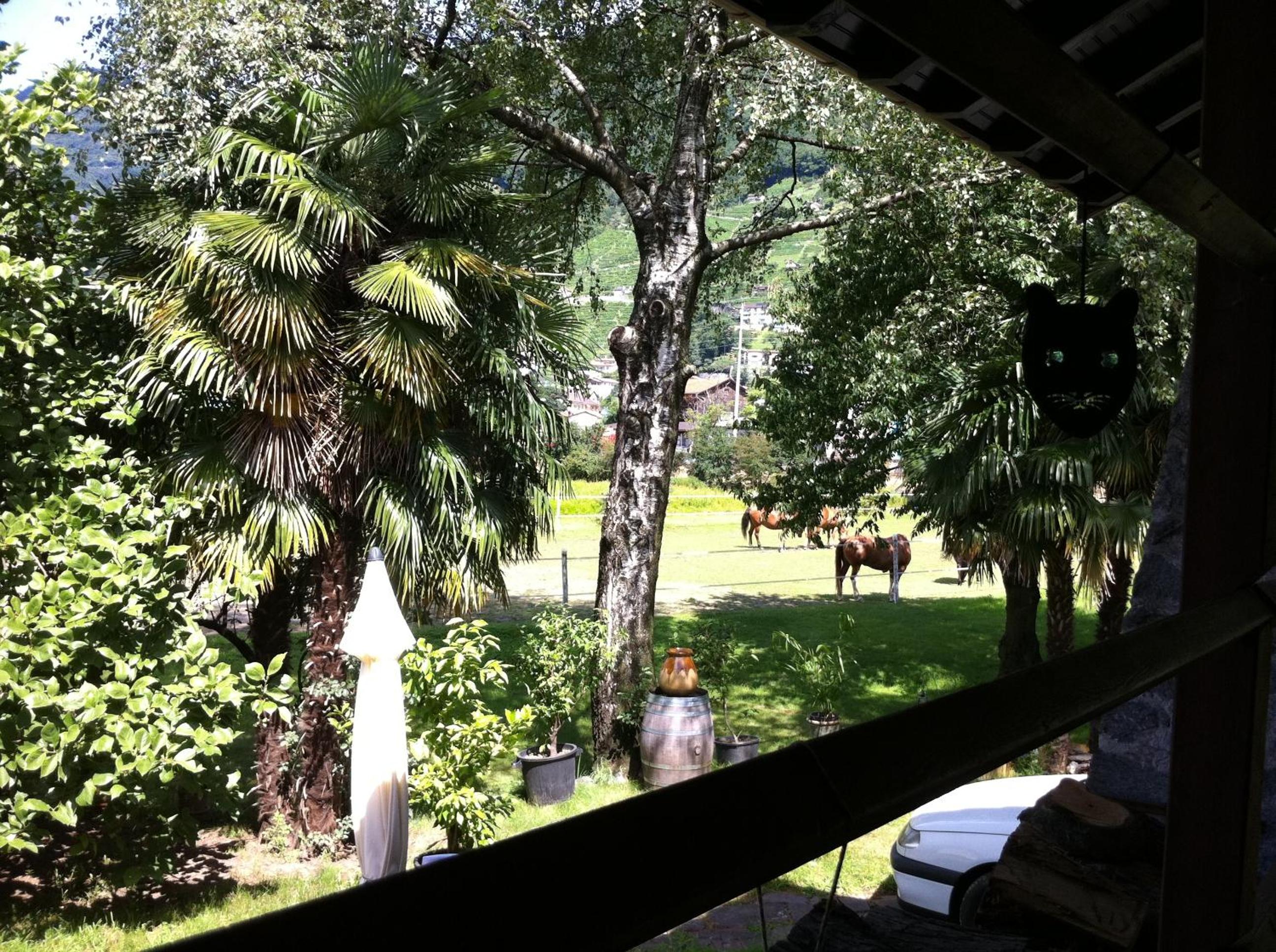 Casa Rosmarino, photo 10