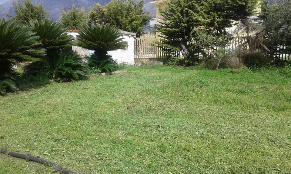 Photo 45