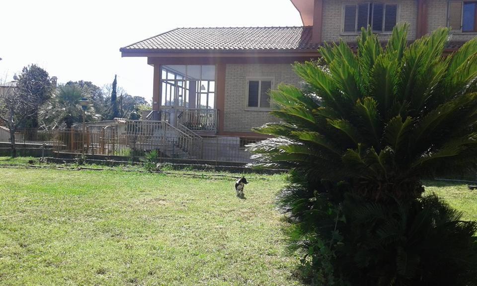 Photo 48