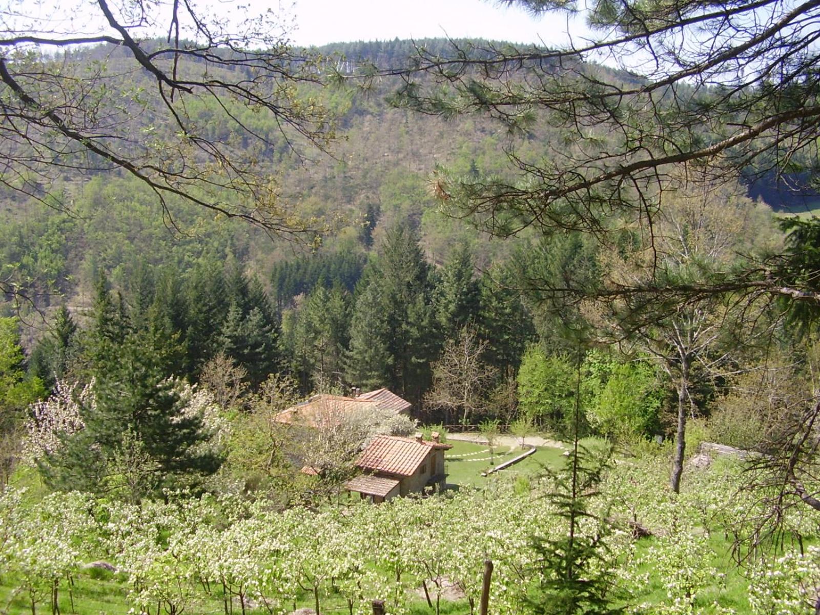Casale Camalda photo 5