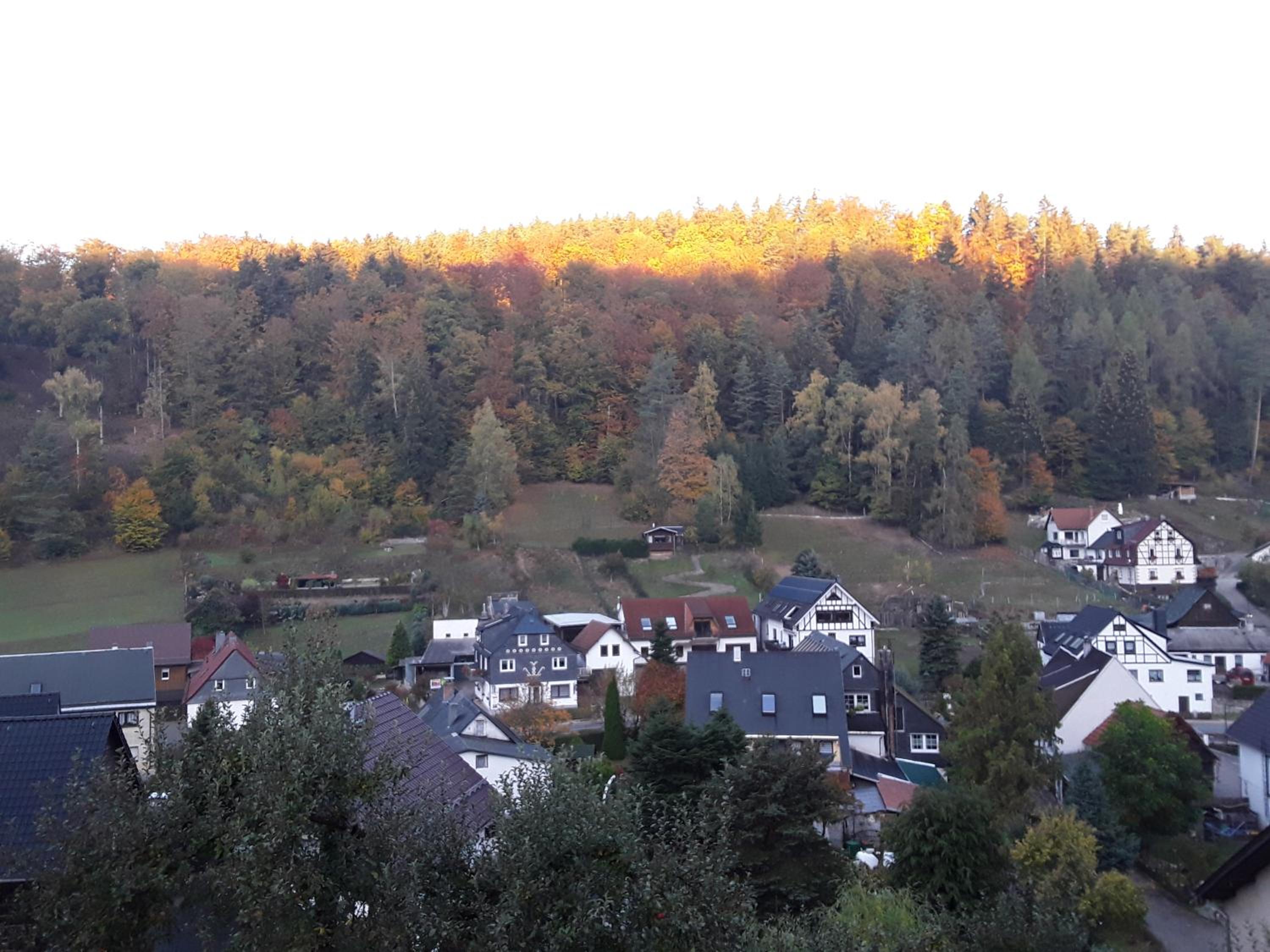 Photo 42