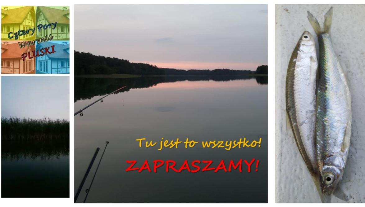 Photo 52