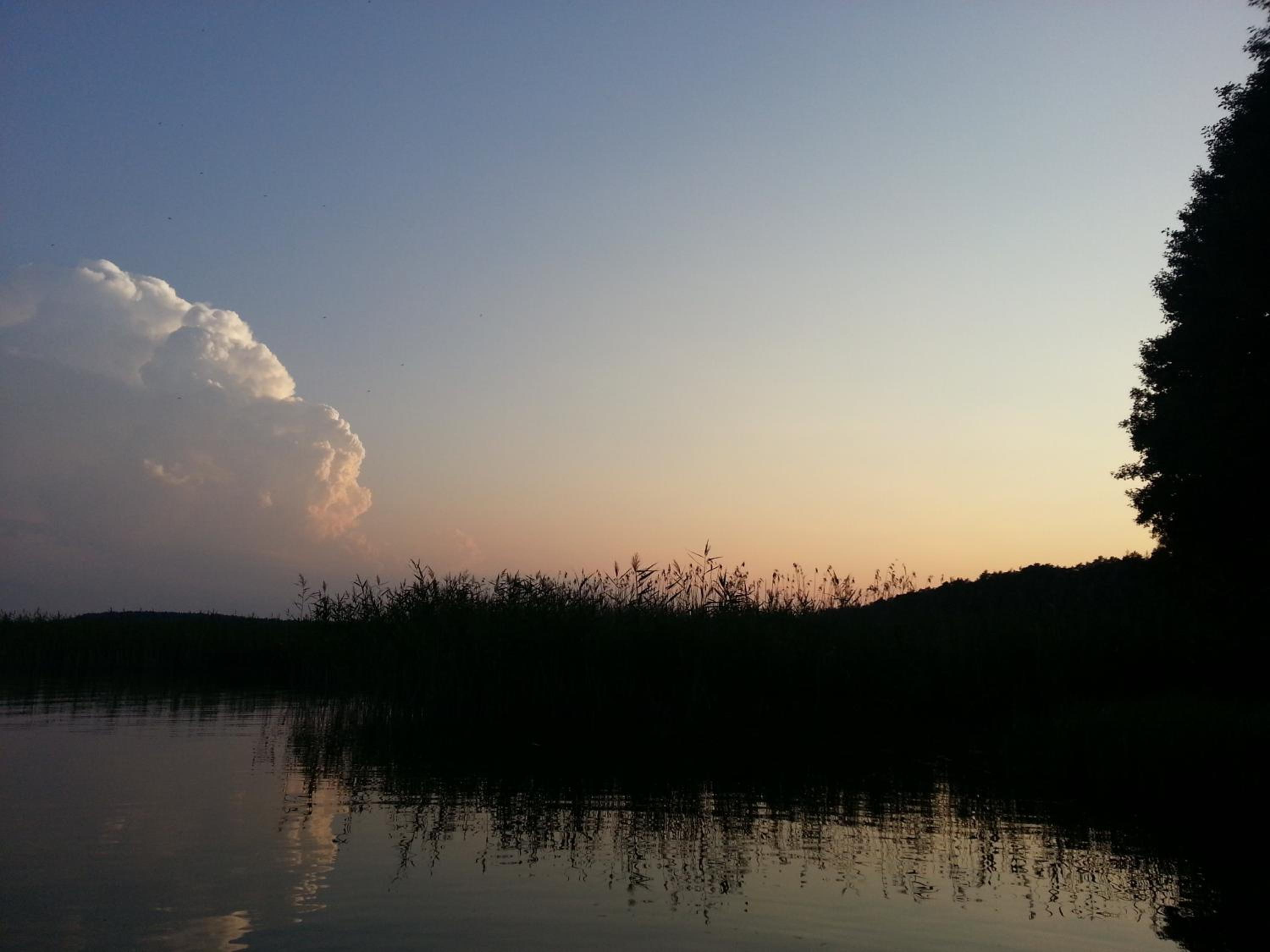 Photo 48