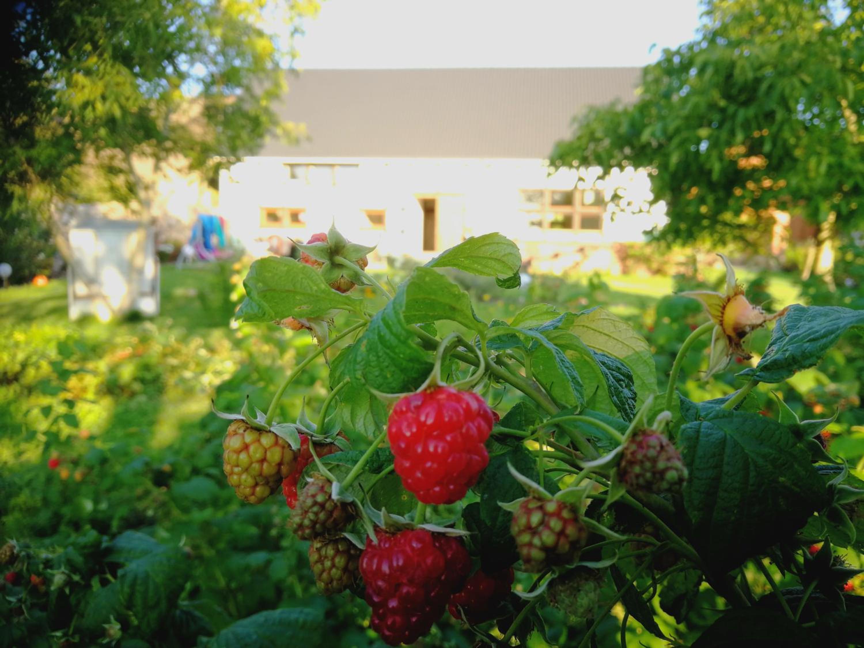 Photo 20