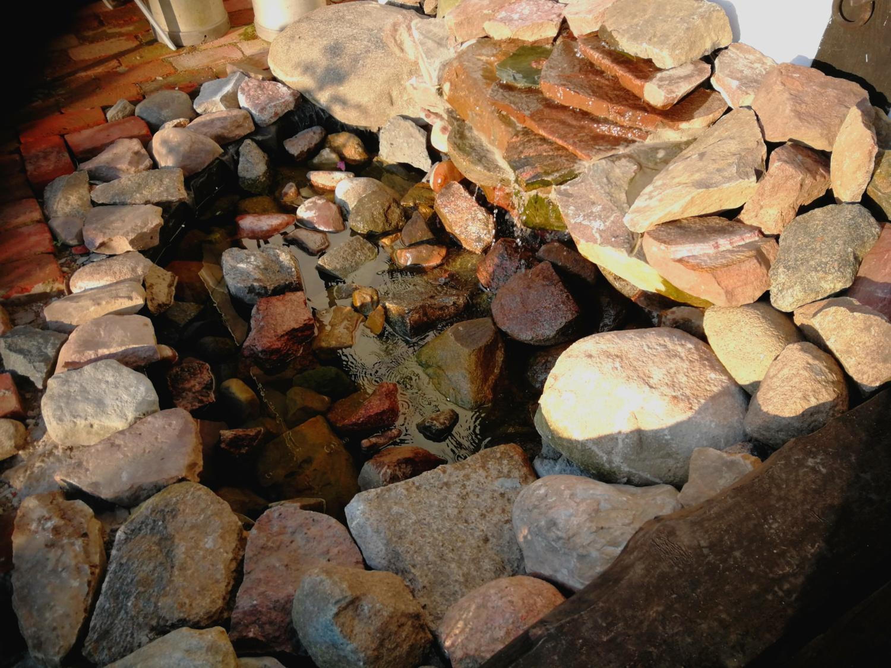Photo 19