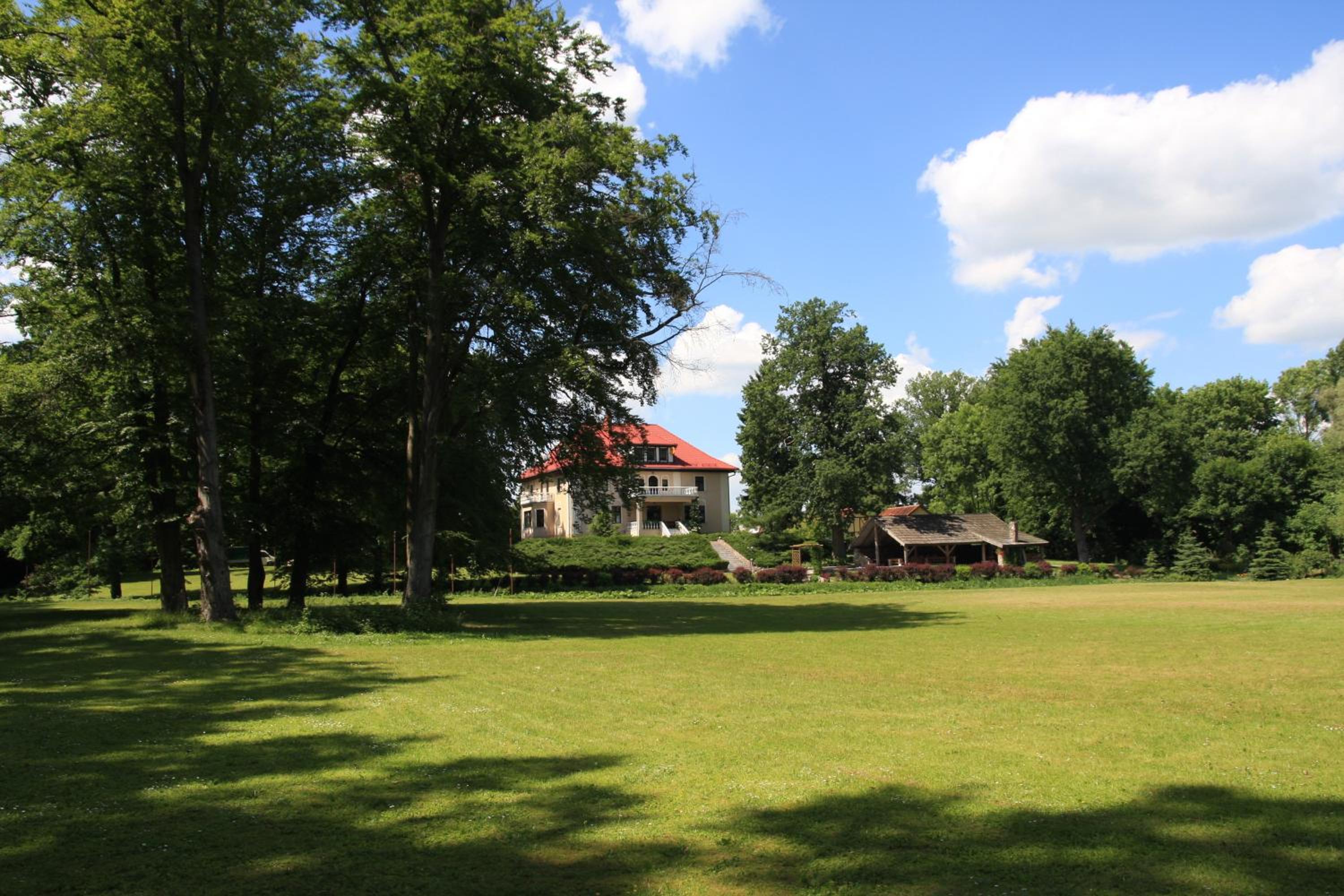 Photo 43