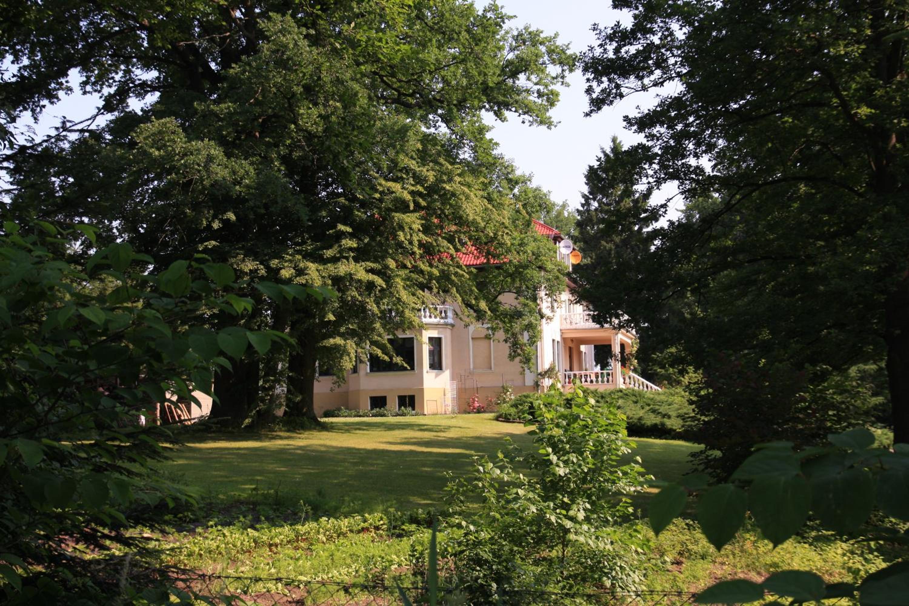Photo 46