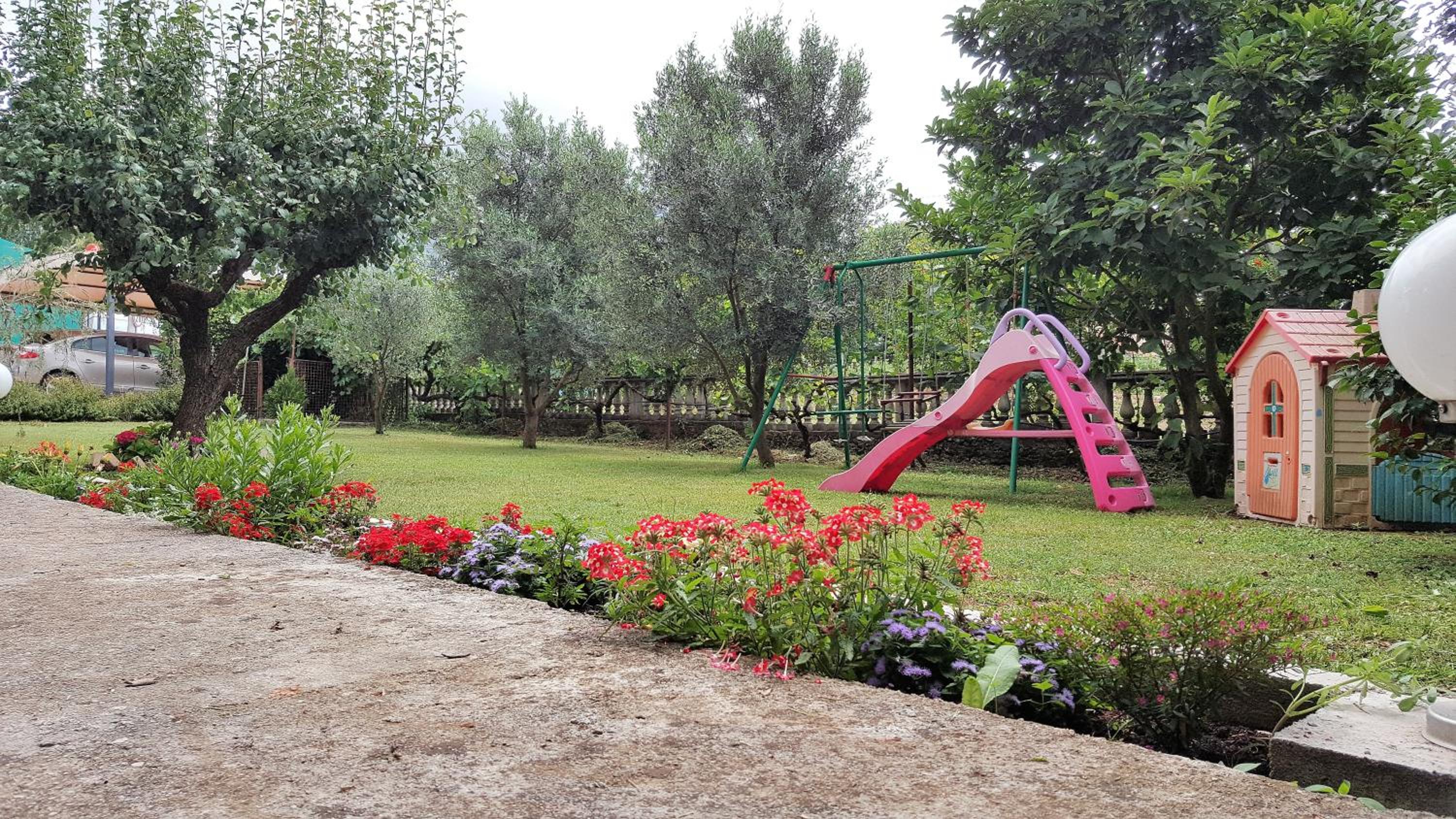 Photo 11