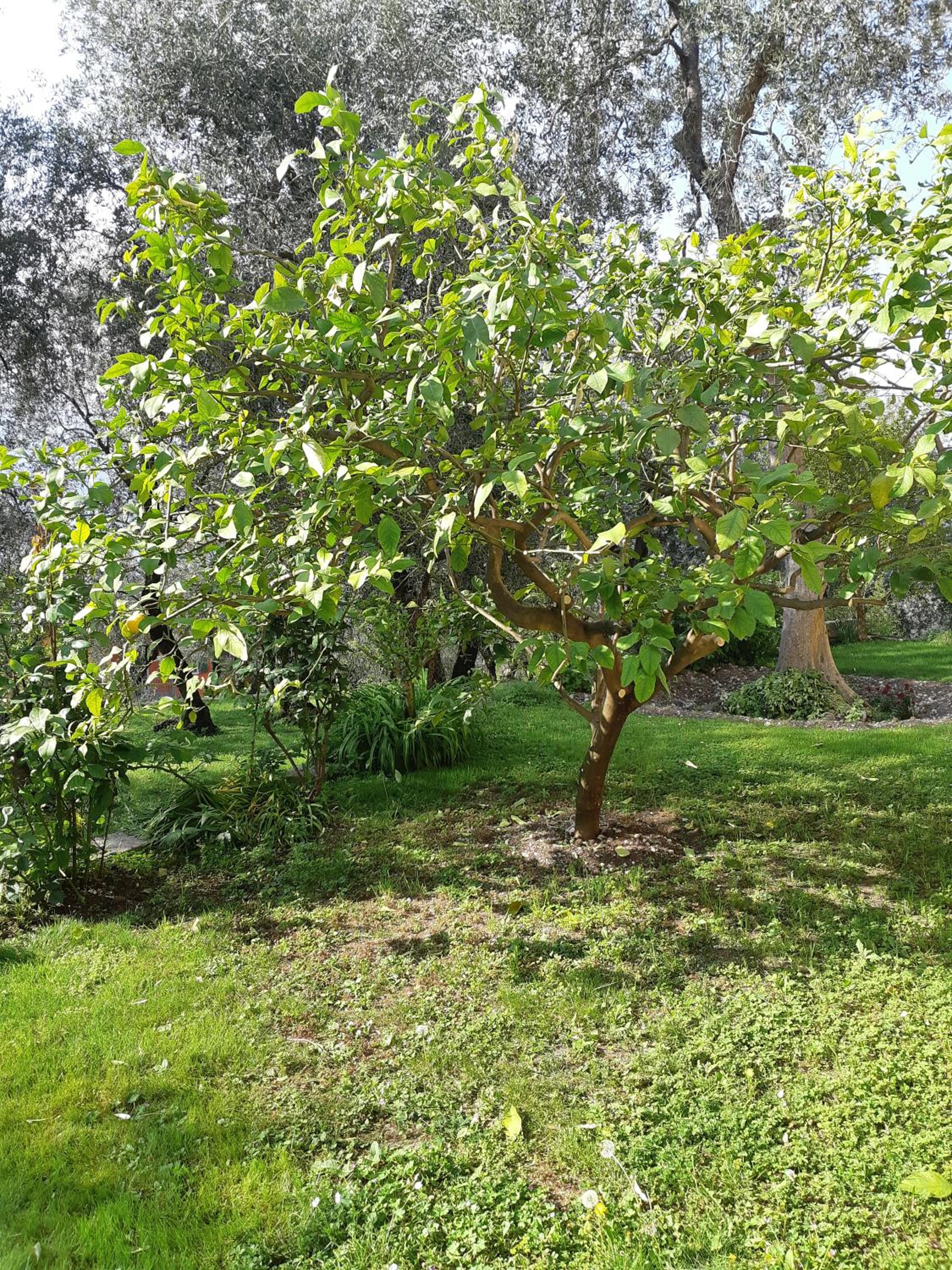 Photo 23