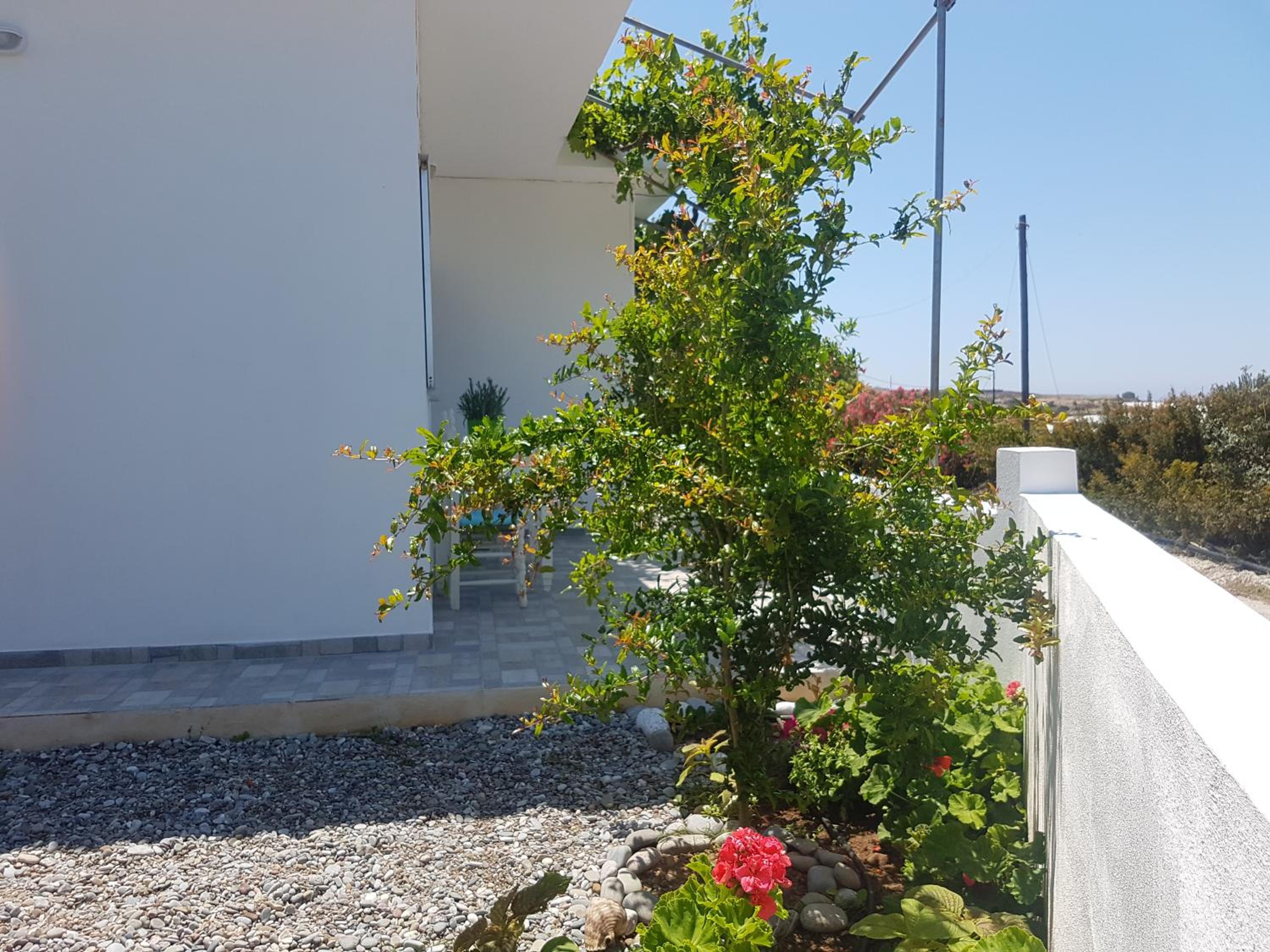 Terra Falasarna photo 3