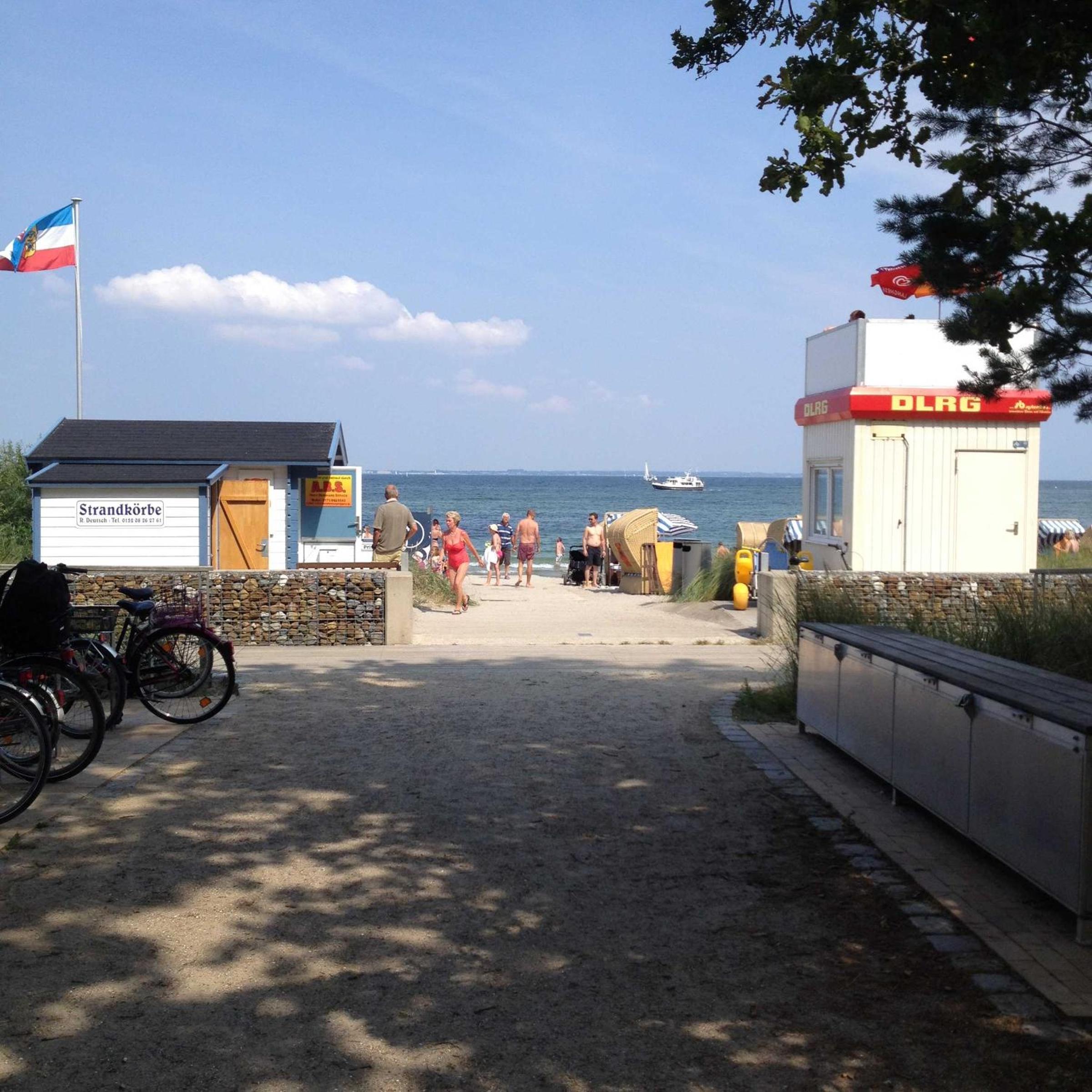 Photo 15