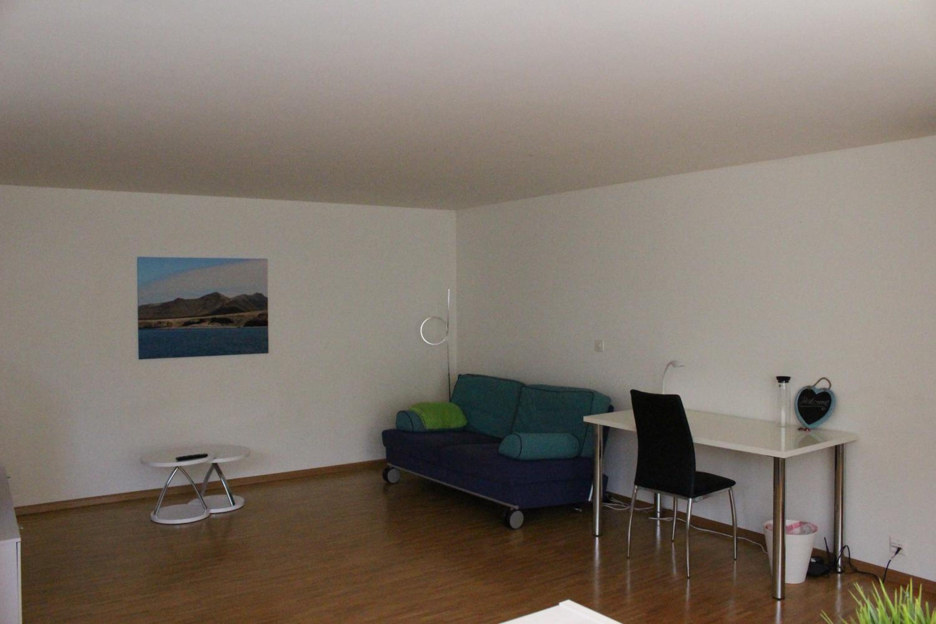 A Casa Fina- a modern room close to Basel