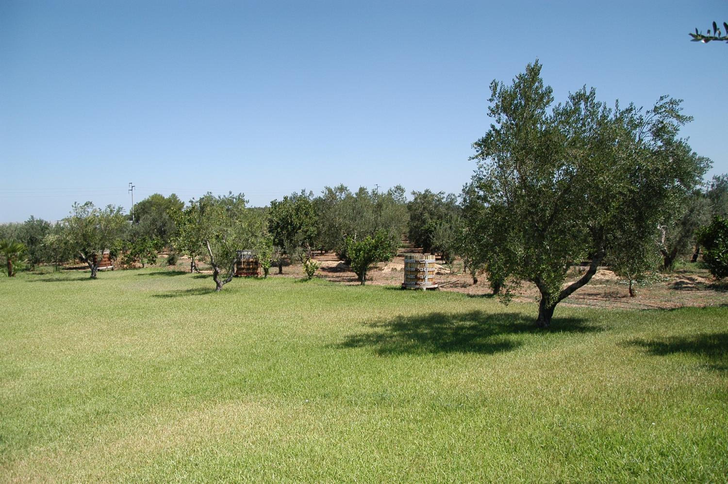 Photo 8
