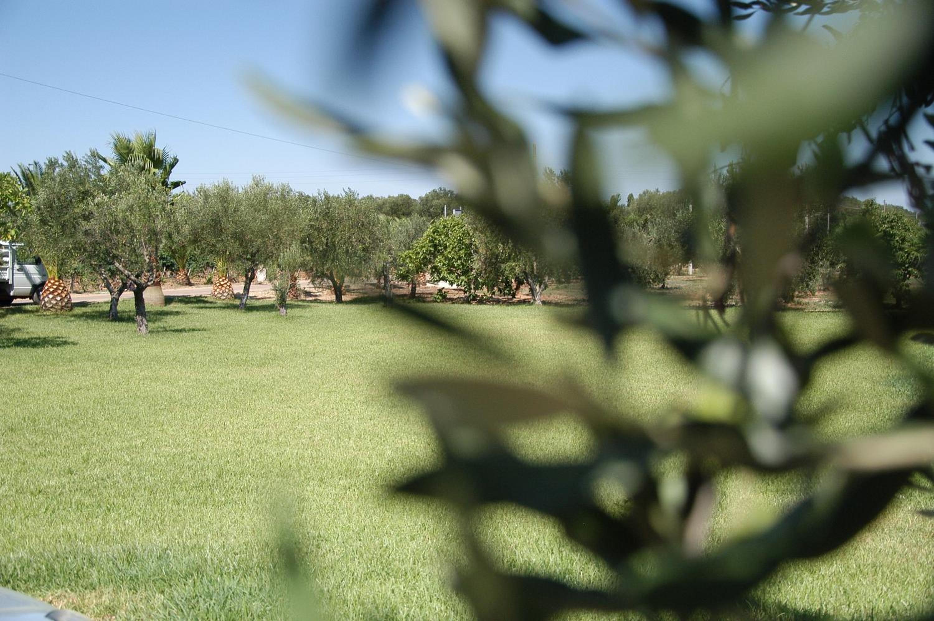 Tenuta Annibale view 3