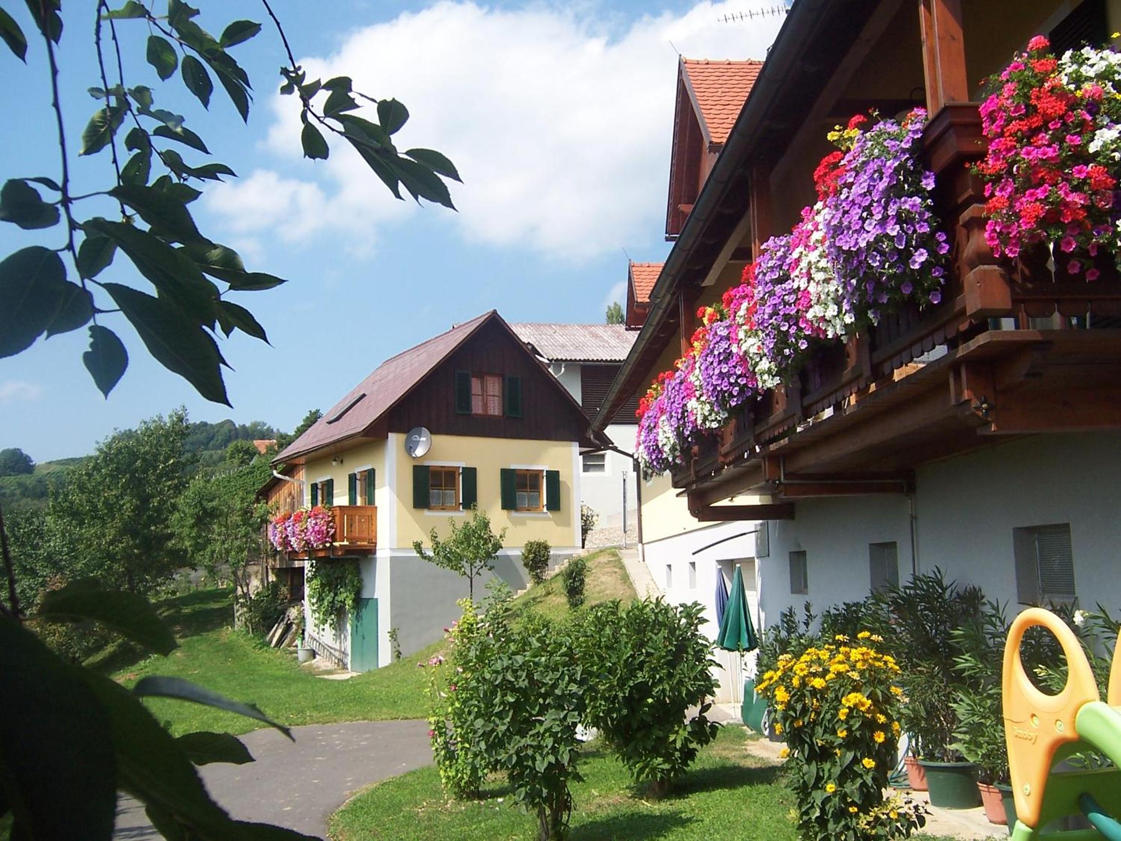 Weingut Fellner