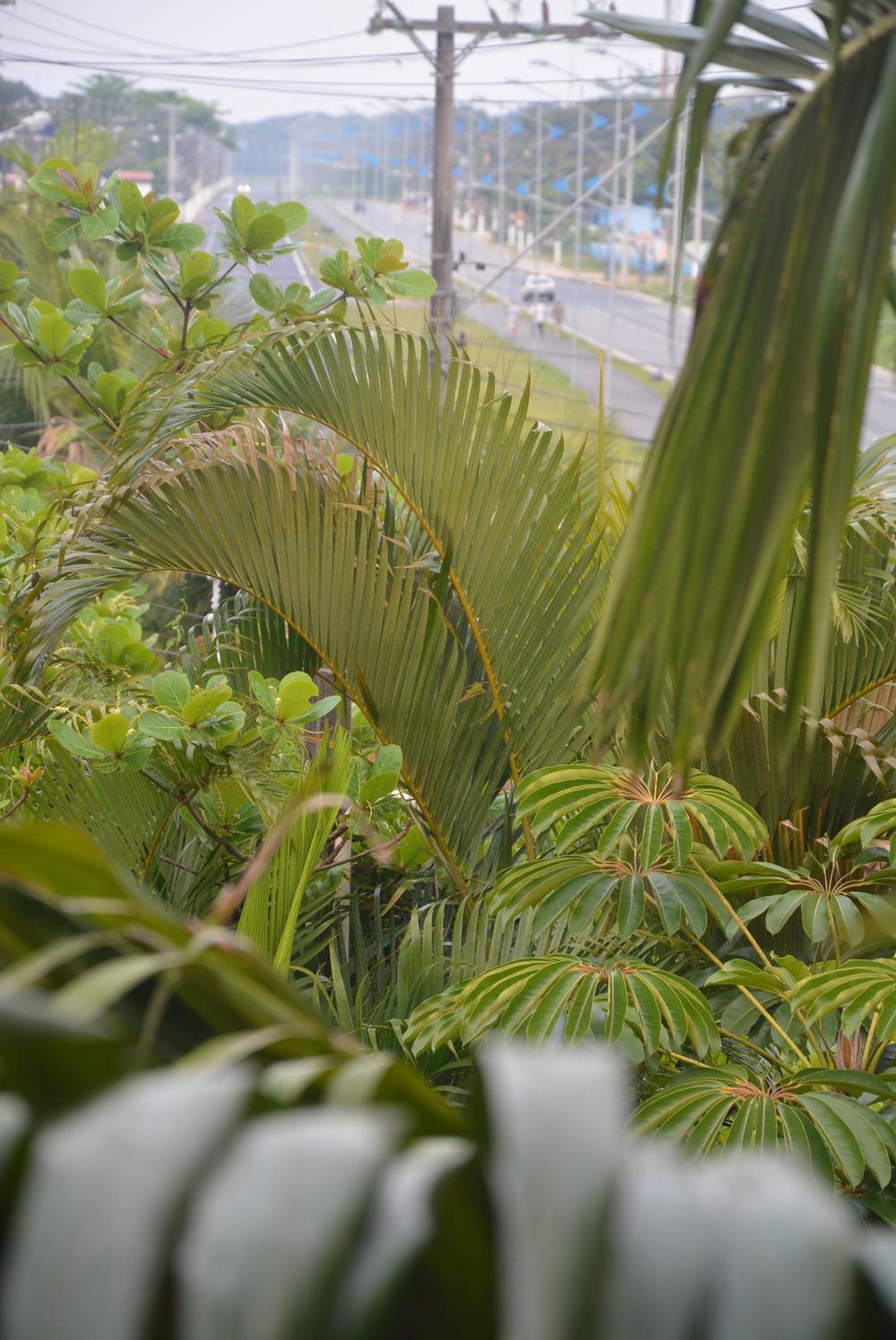 CASA COND HANGA ROA BERTIOGA 4 Func