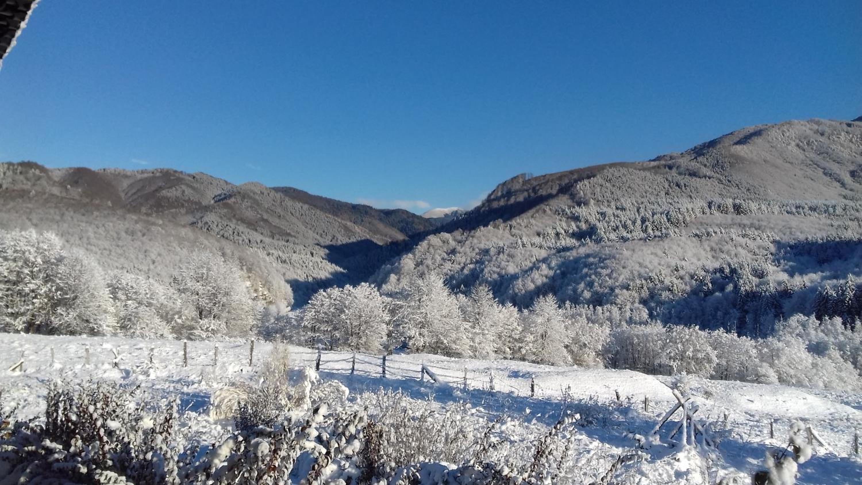 Valea Doamnei