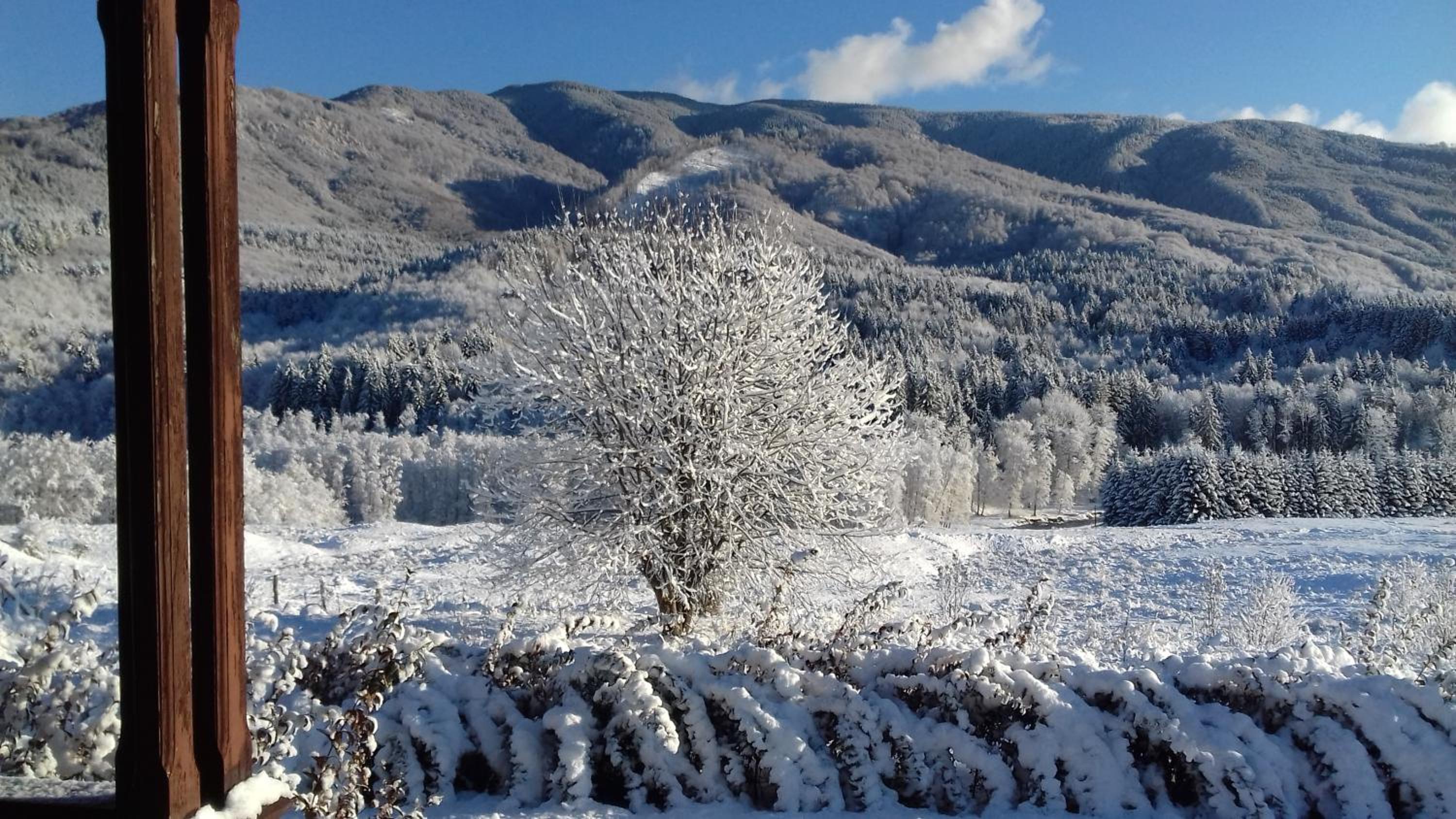 Valea Doamnei en Nucşoara
