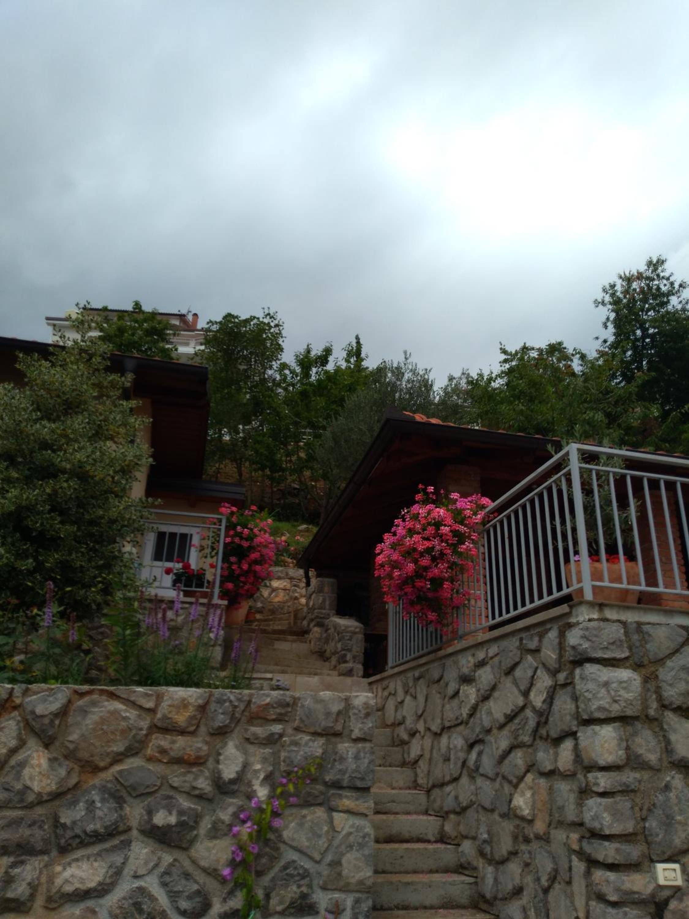 Photo 29