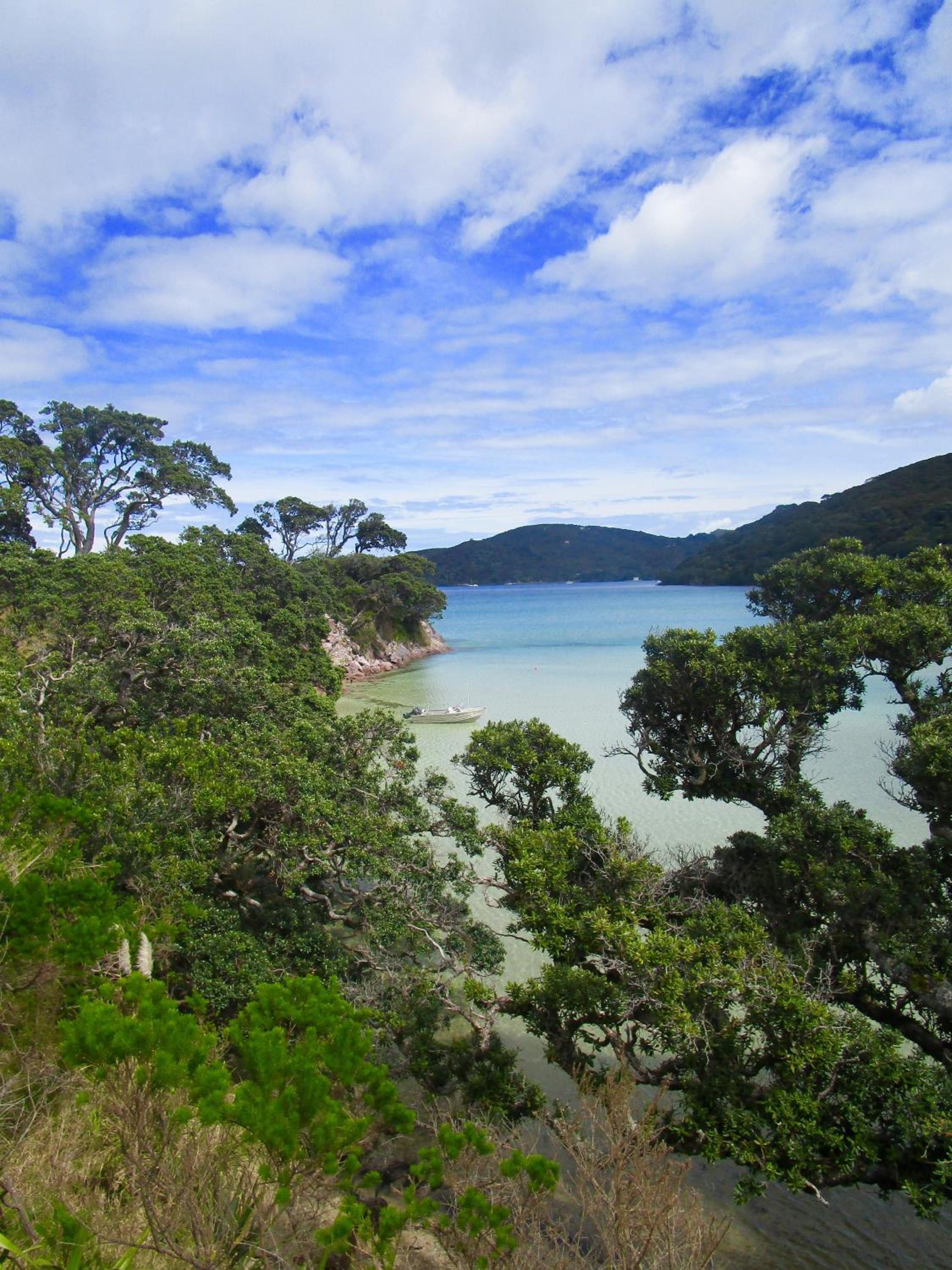 Mulberry Grove Retreat view 4