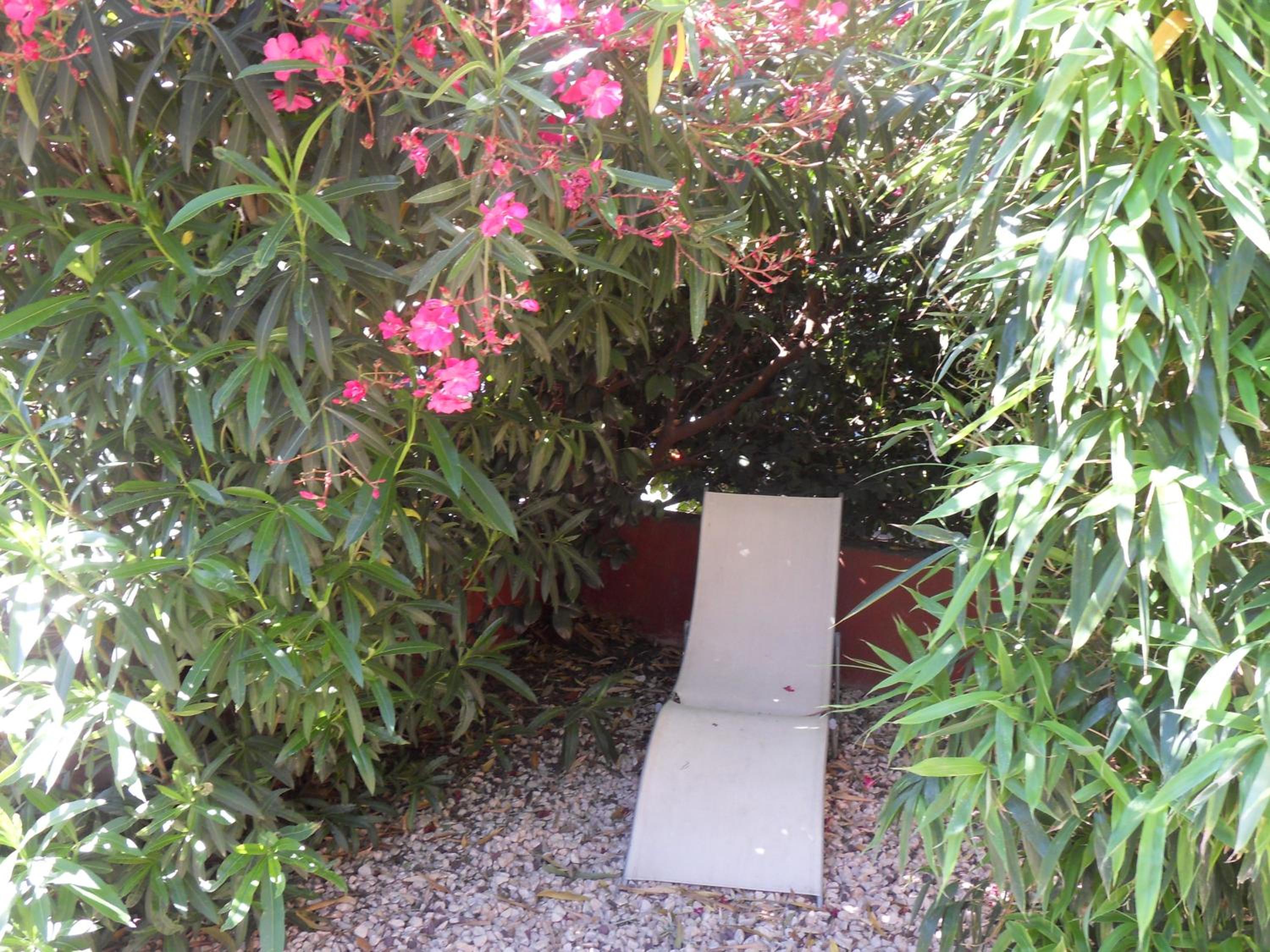 Photo 46