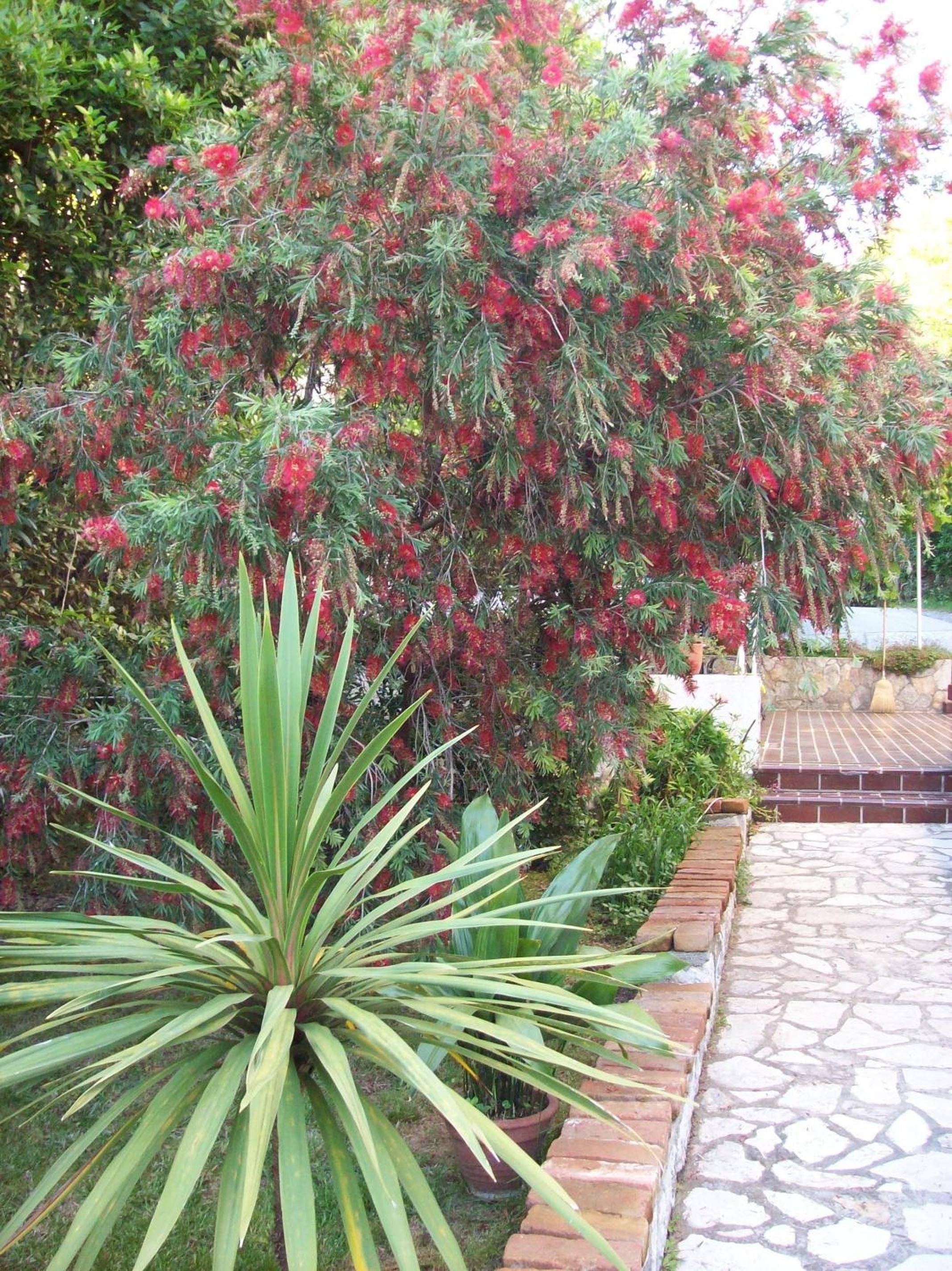 Photo 63