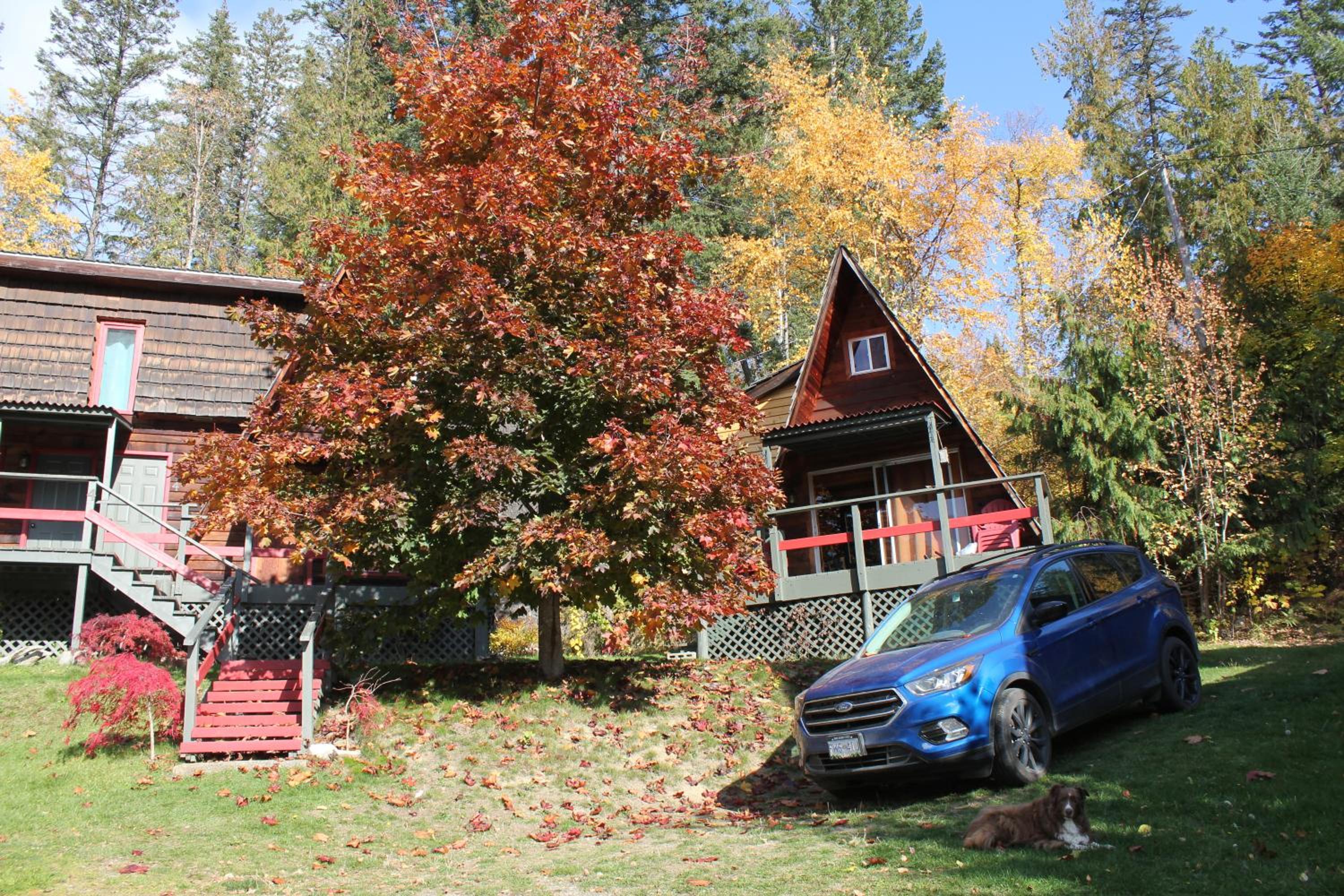 Photo 35