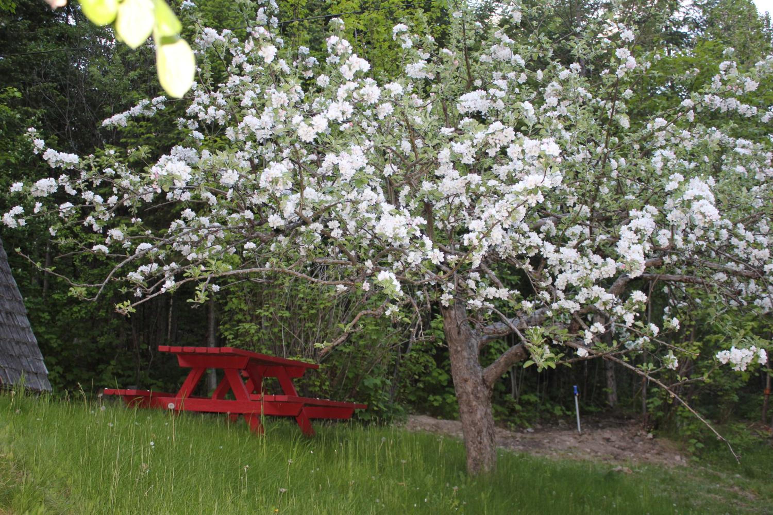 Photo 25