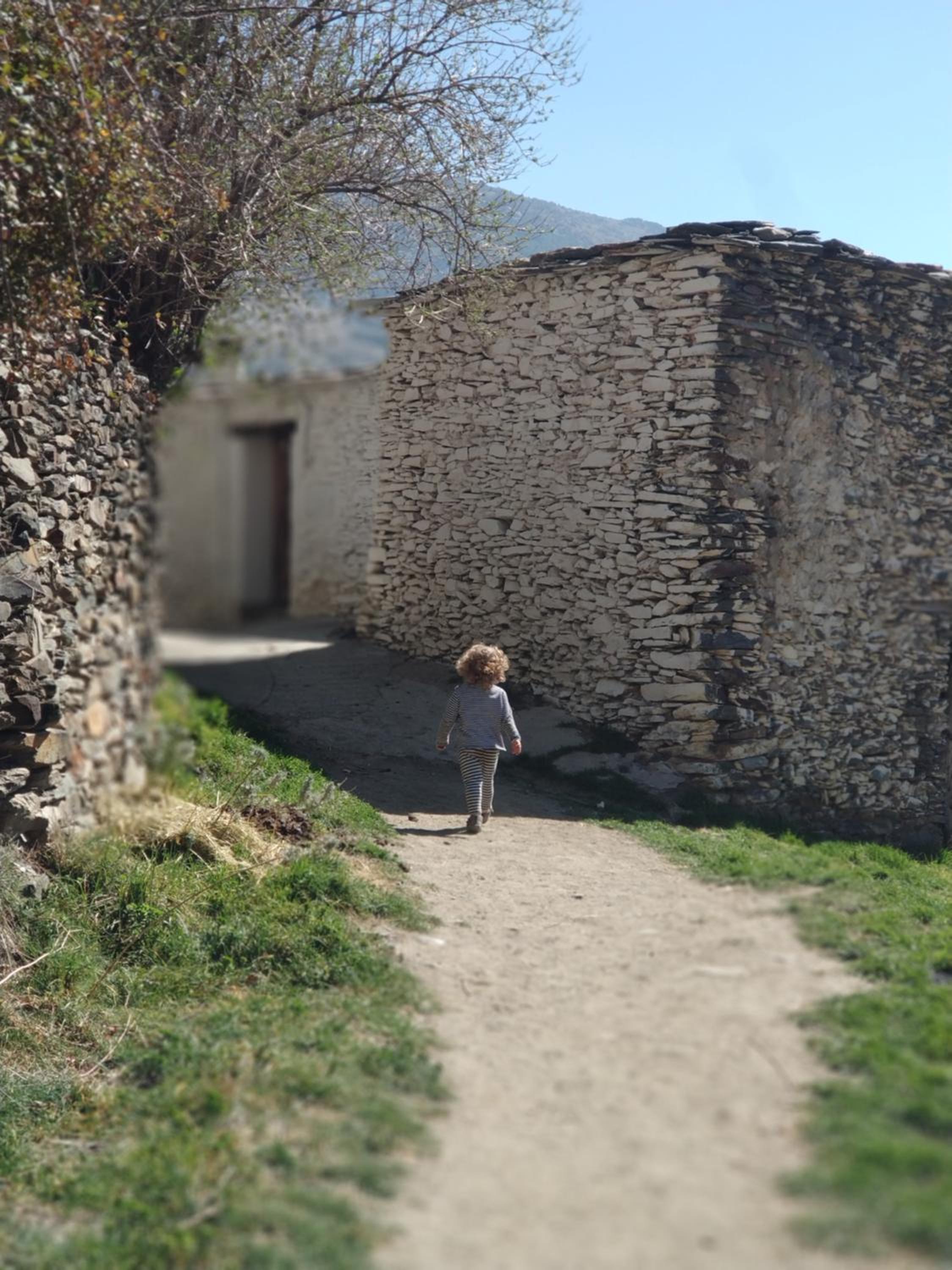 Photo 41