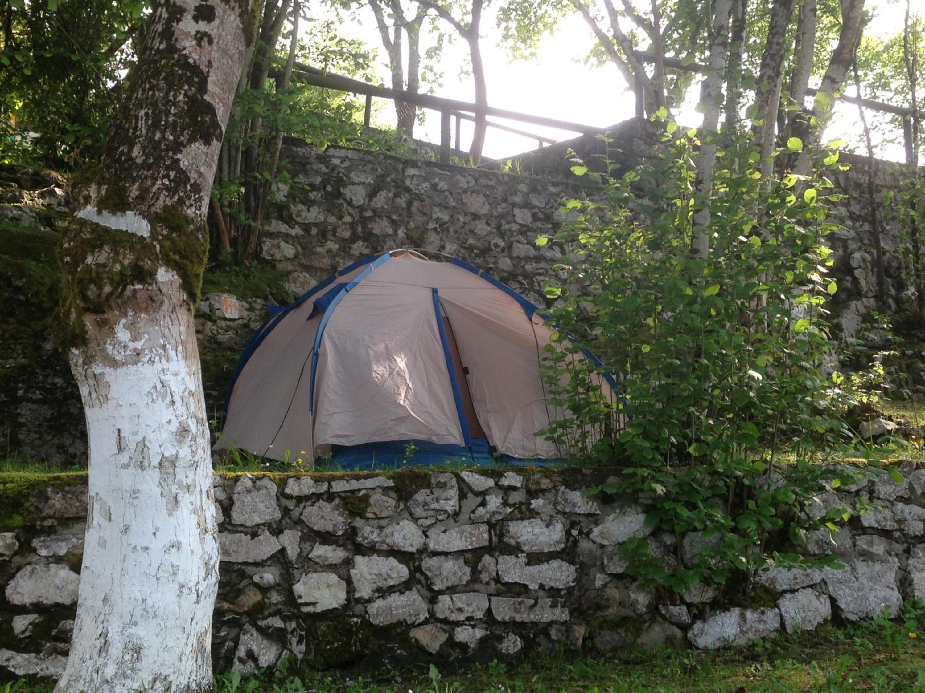 Photo 44